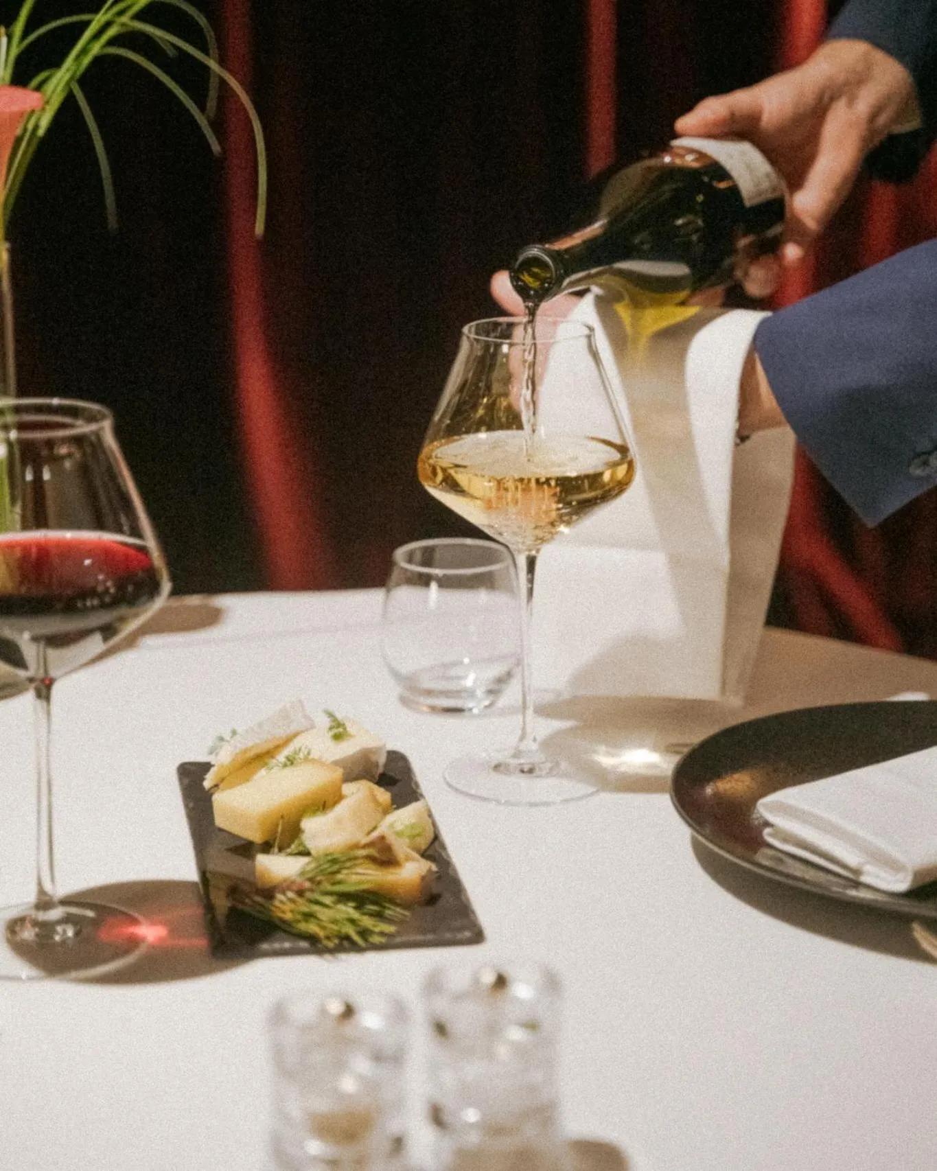 Restaurant/places to eat in Hotel Carlina