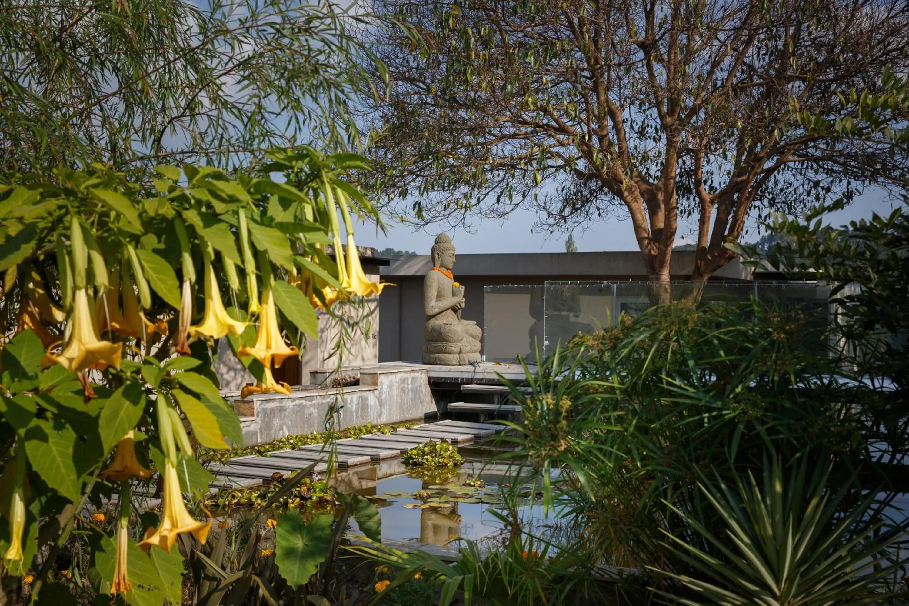 Spring in The Terraces Resort and Spa