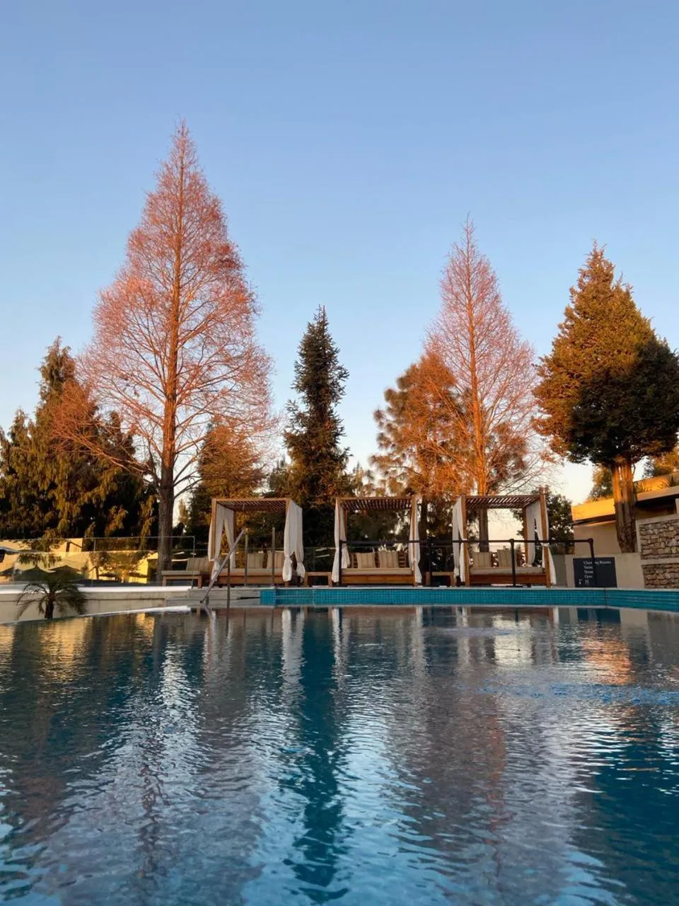 Natural landscape in The Terraces Resort and Spa