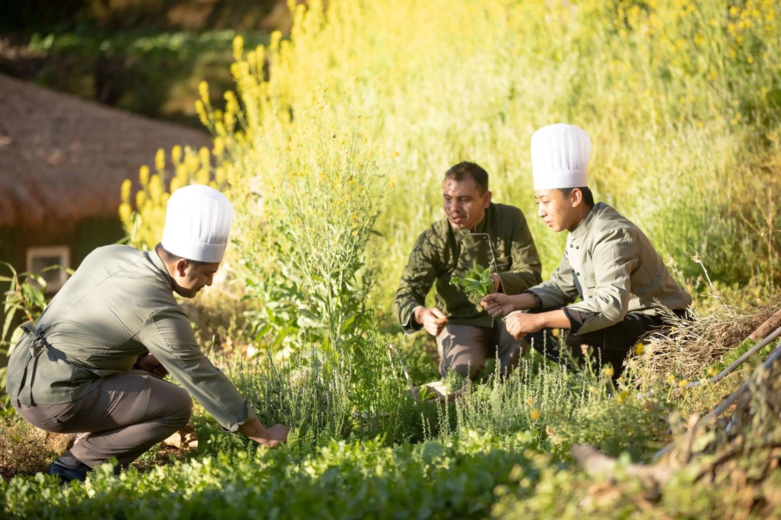 Staff in The Terraces Resort and Spa