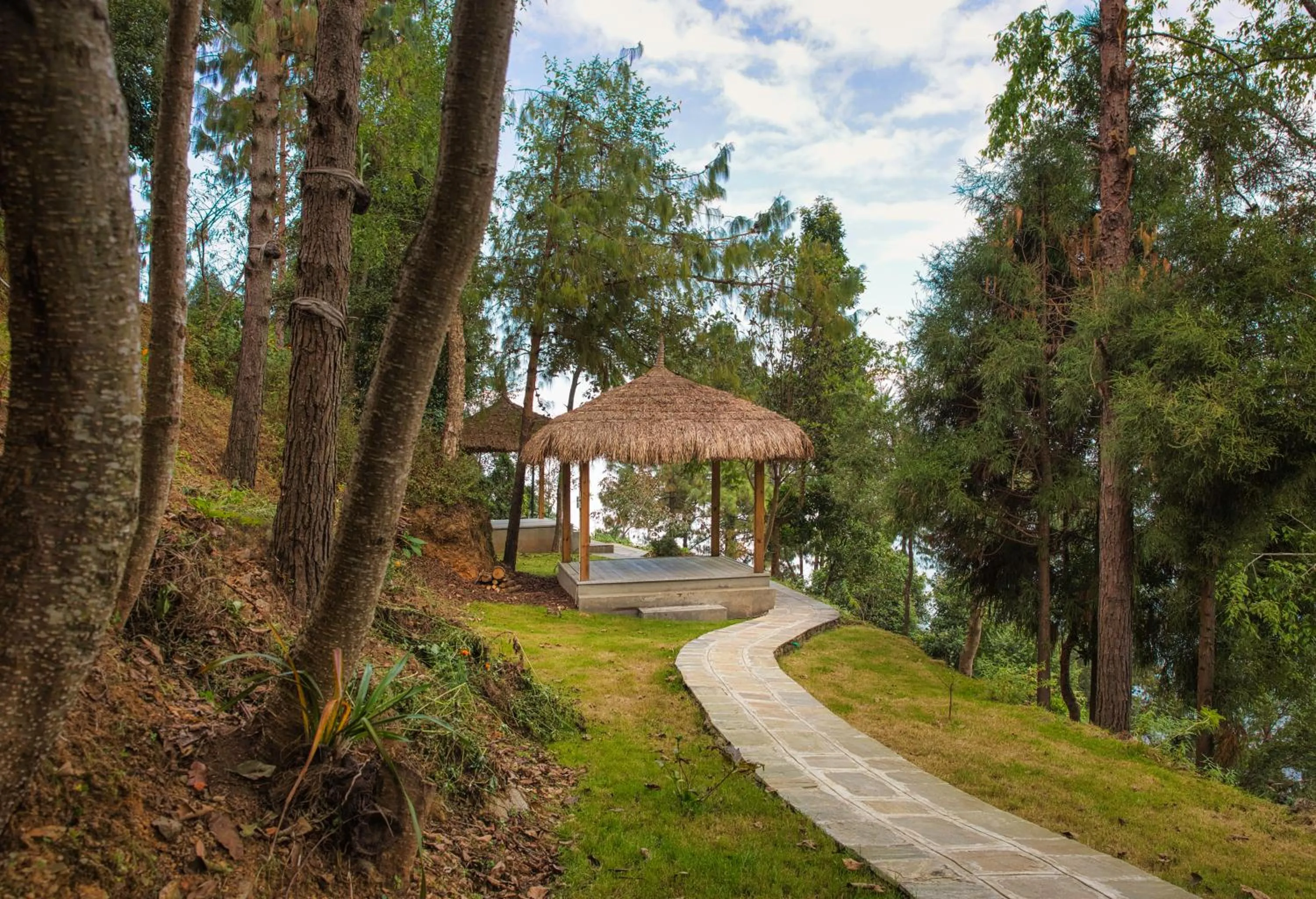 Natural landscape in The Terraces Resort and Spa
