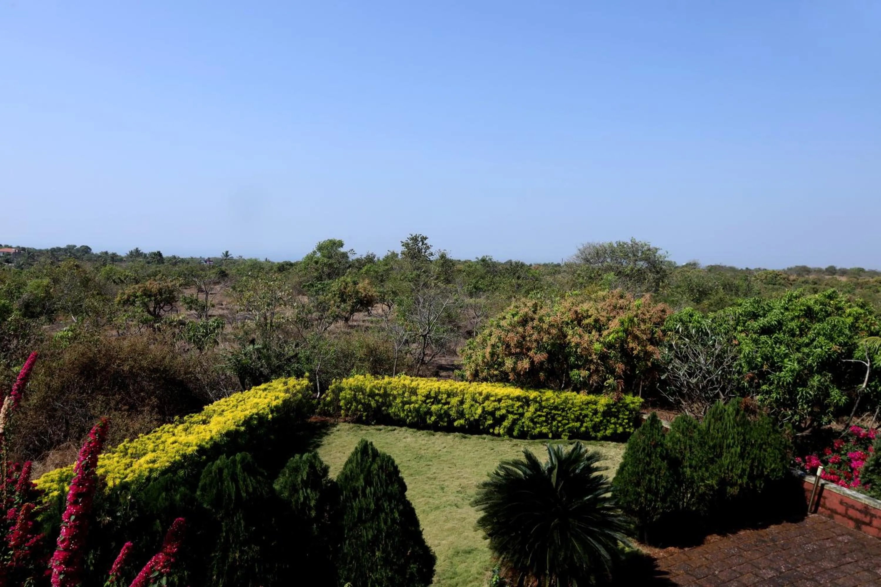 Garden in Kokanwadi Resort