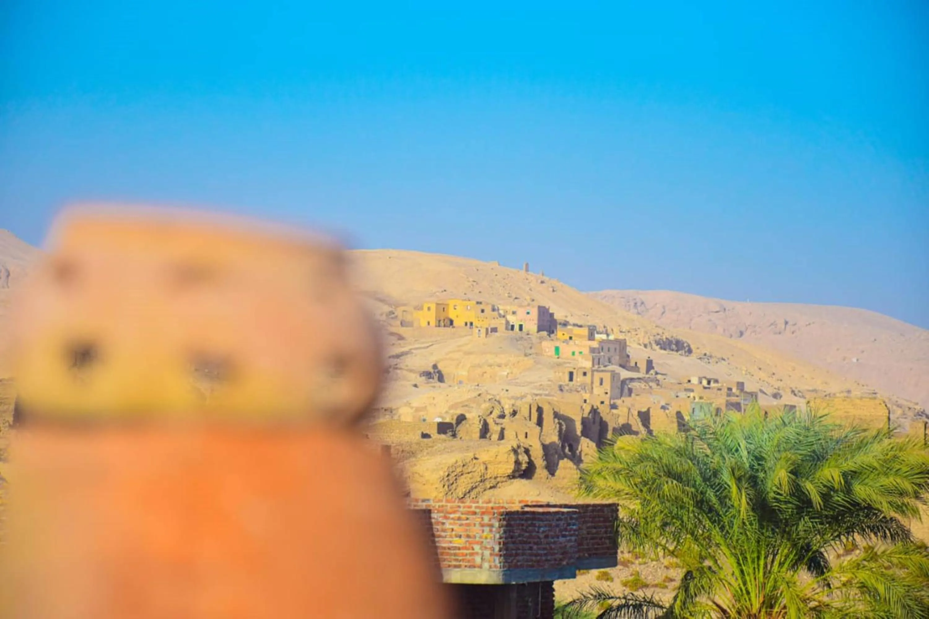 Natural landscape in Rose Guest House