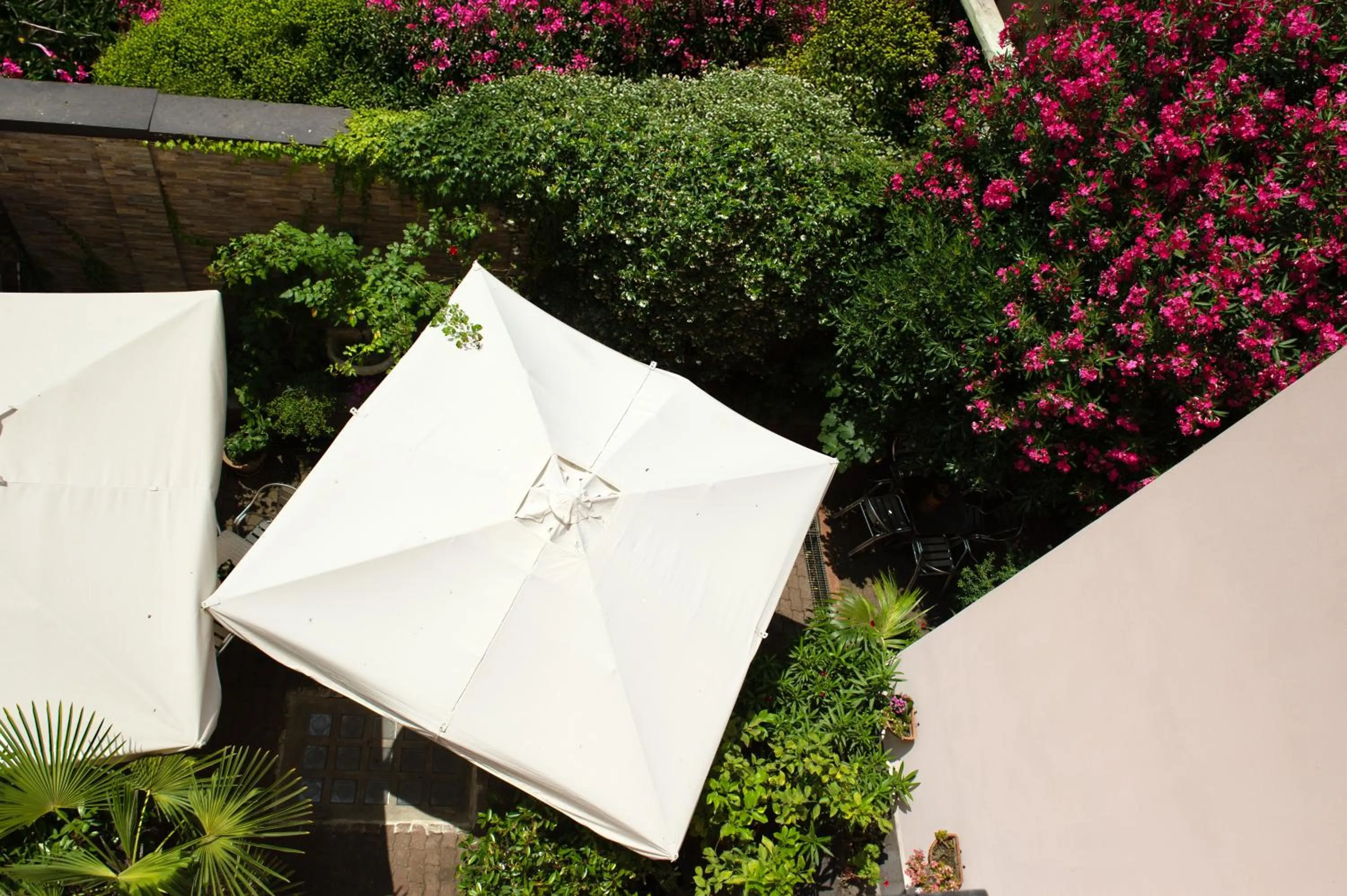 Garden in Hotel Vittoria