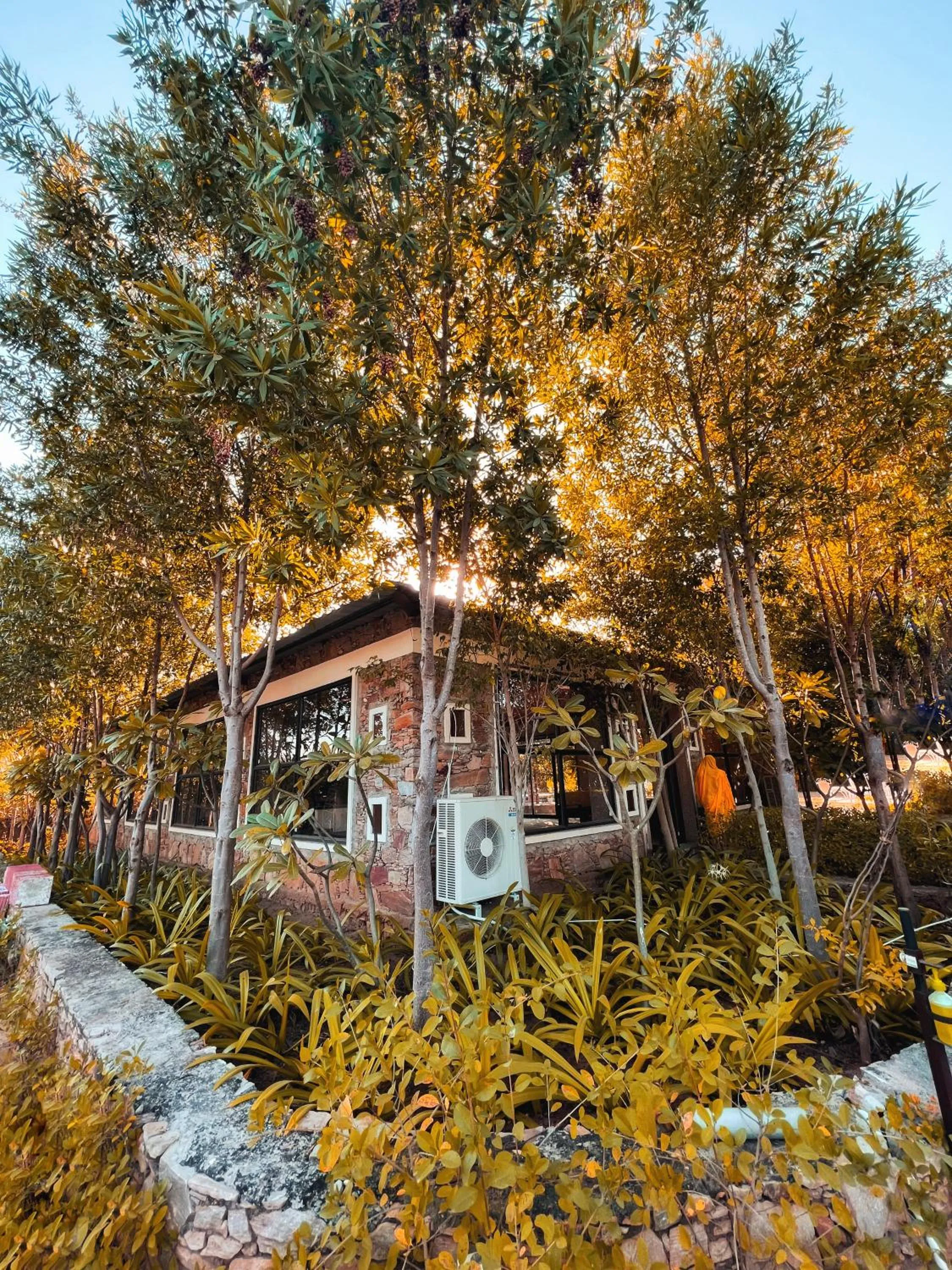 Garden view in The HighGarden Resort