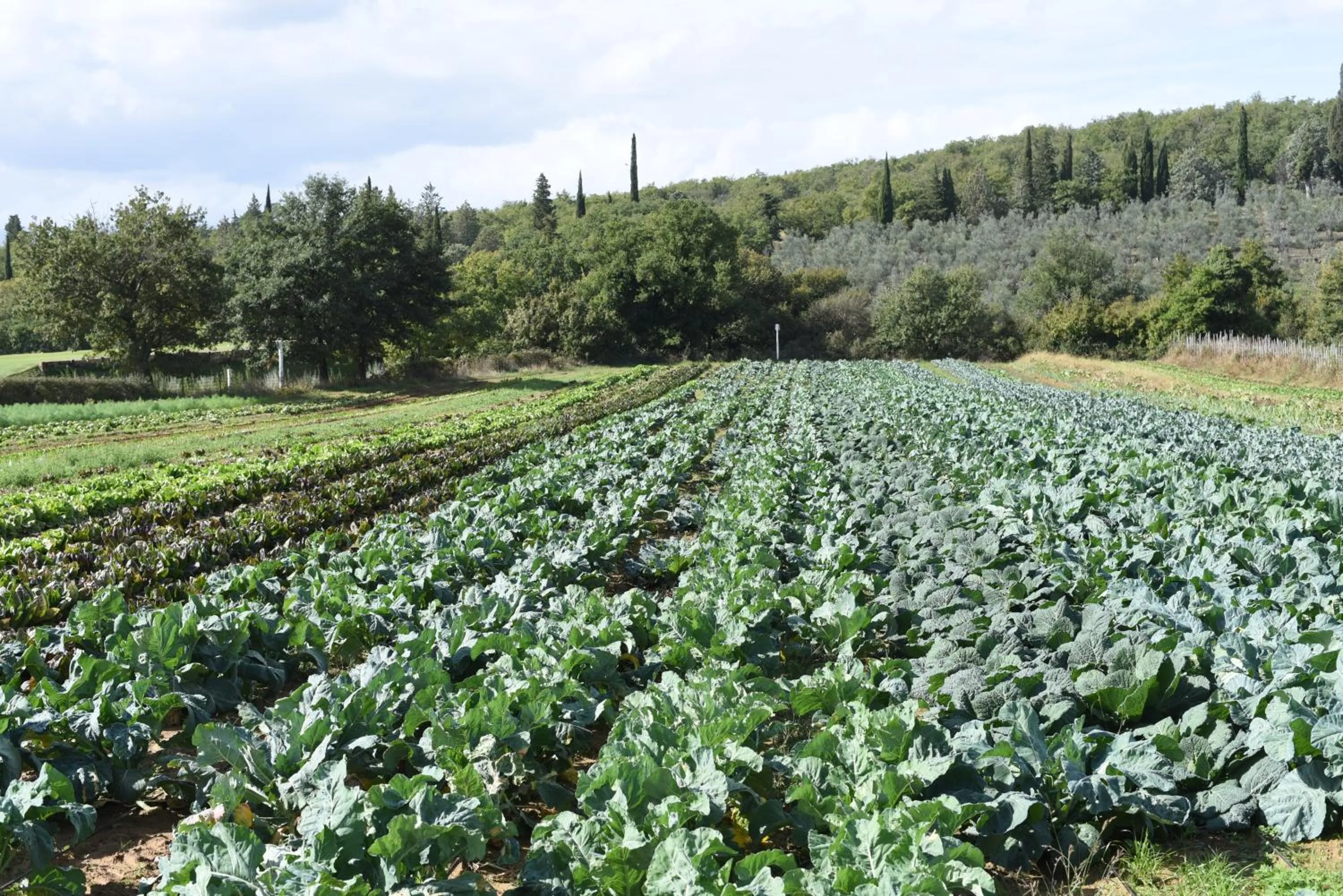 Il Borro Relais & Châteaux