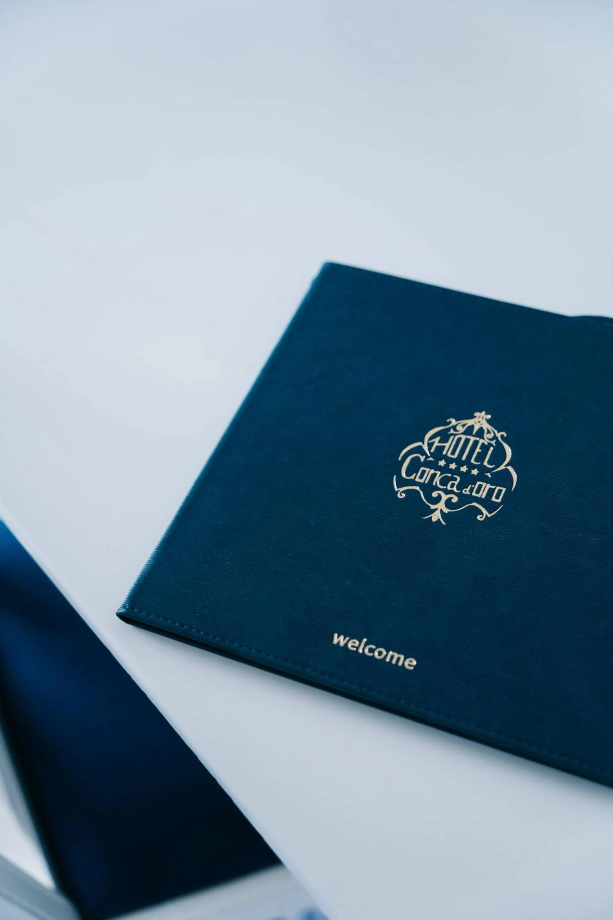 Decorative detail in Hotel Conca d'Oro