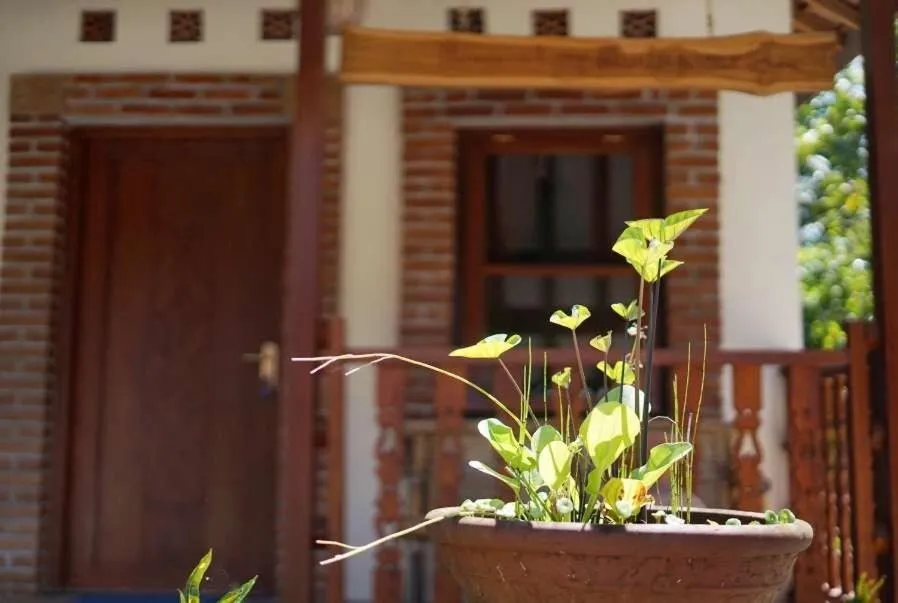 Day in Penginapan Homestay Mudiyono Syari'ah