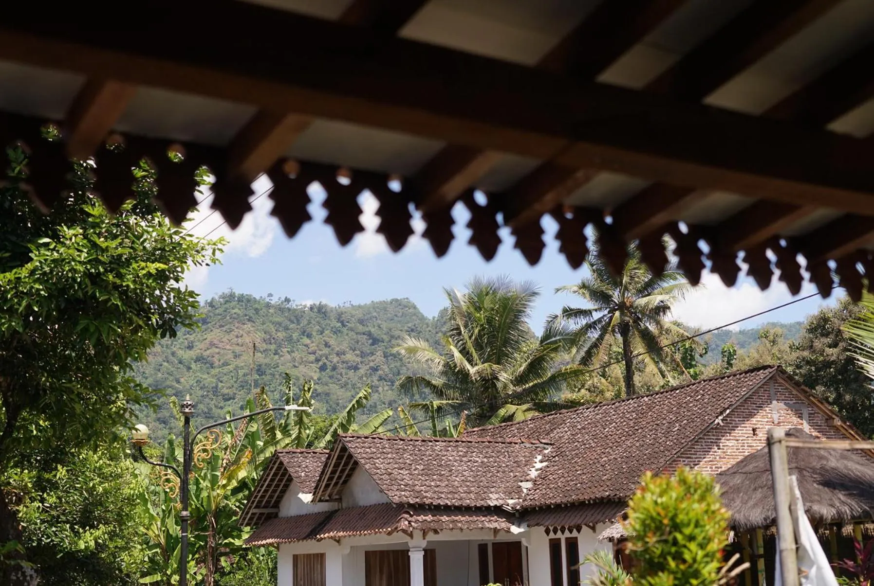 Day in Penginapan Homestay Mudiyono Syari'ah