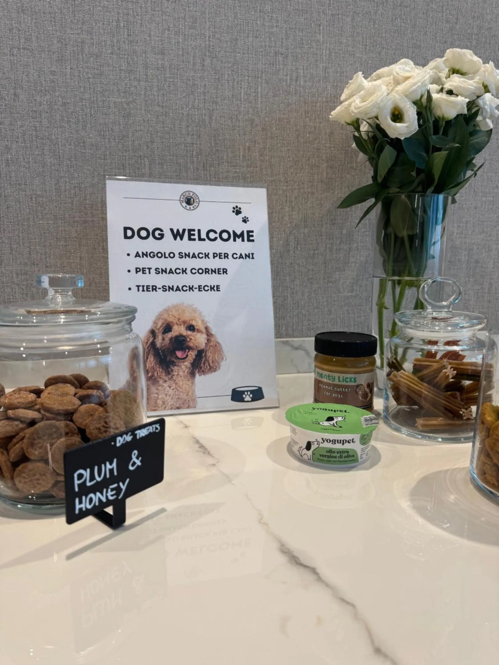 Animals in Hotel Marco Polo 3 Stelle Superior