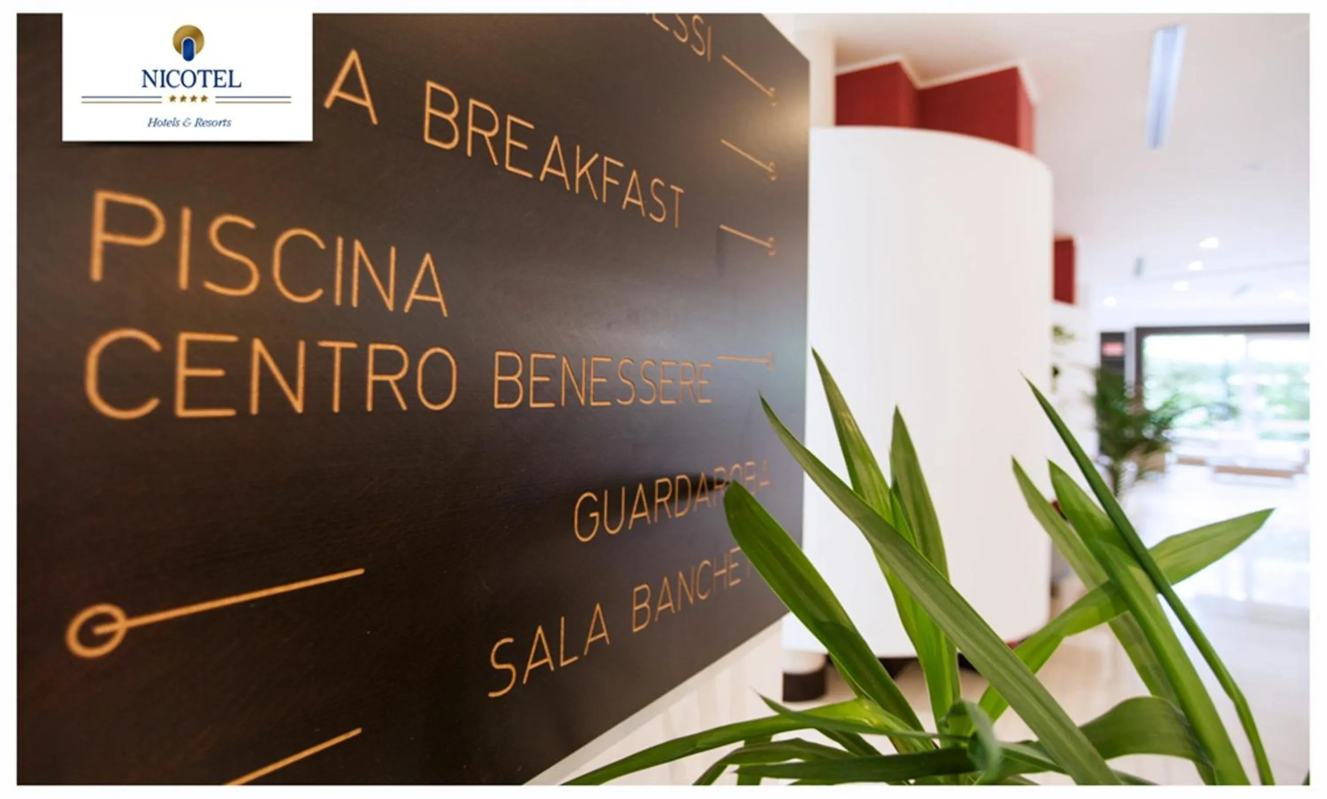 Logo/Certificate/Sign in Nicotel Pineto