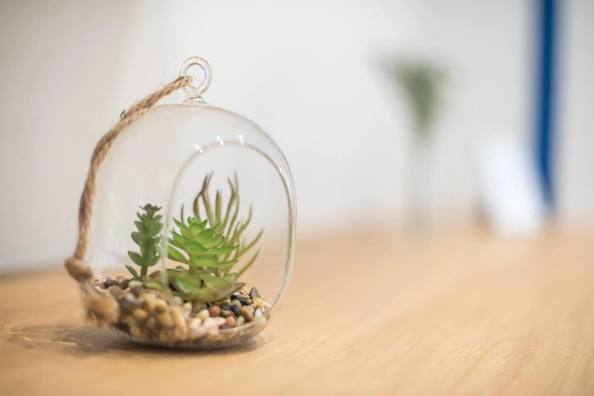 The Asprogeraka - self check-in rooms