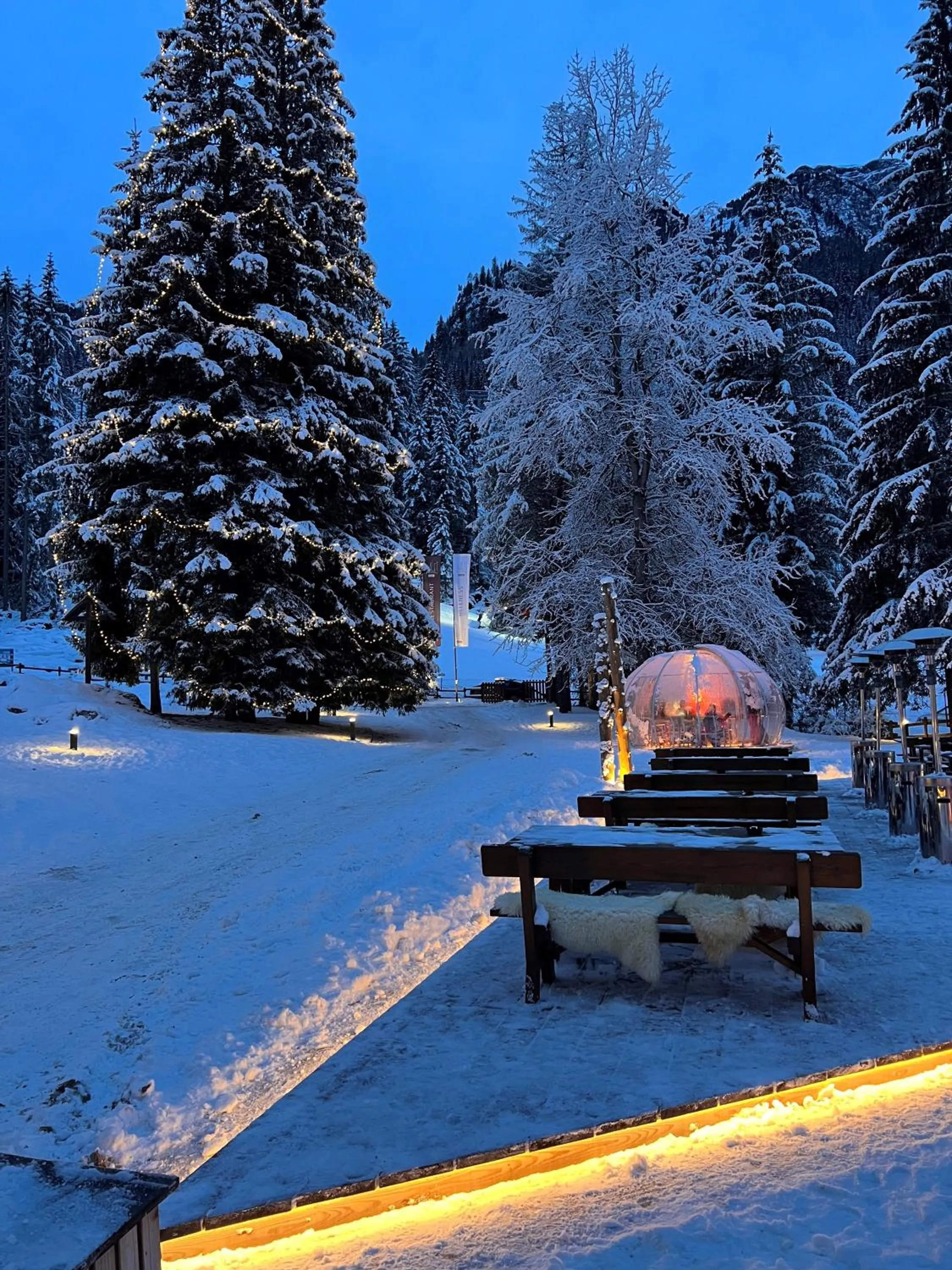 Restaurant/places to eat in Chalet Queen