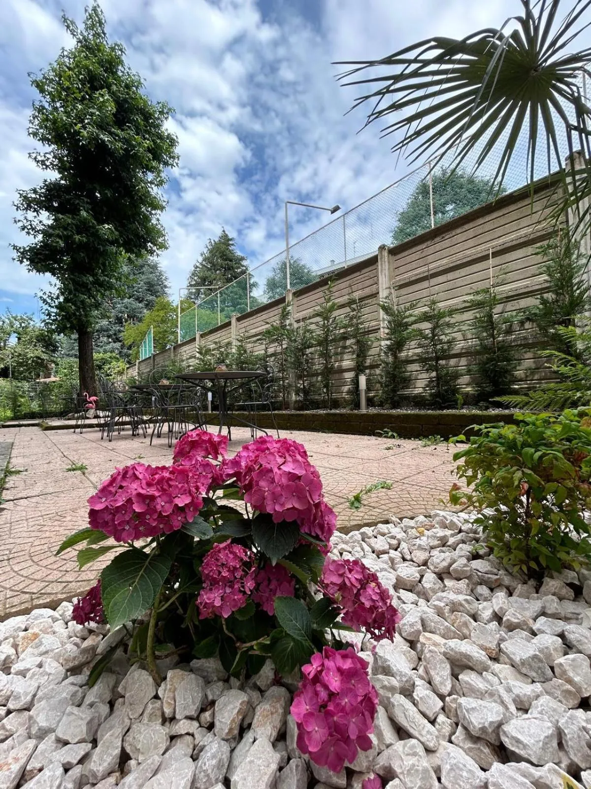 Garden in Hotel Concorde Fiera