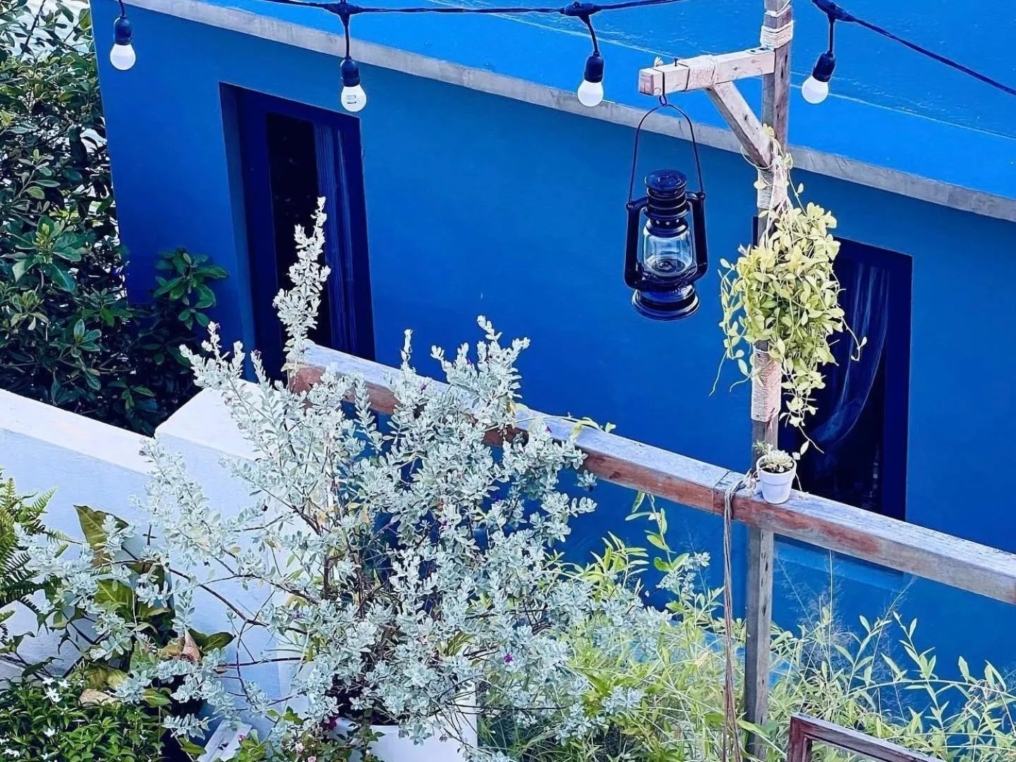 Garden in Cloudy Homestay Hoi An