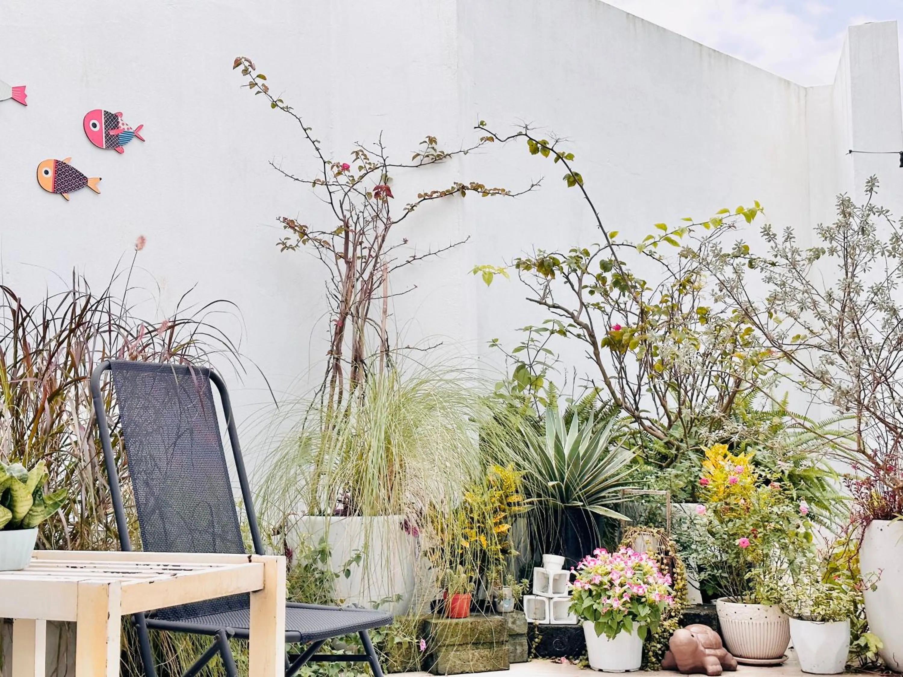 Garden in Cloudy Homestay Hoi An