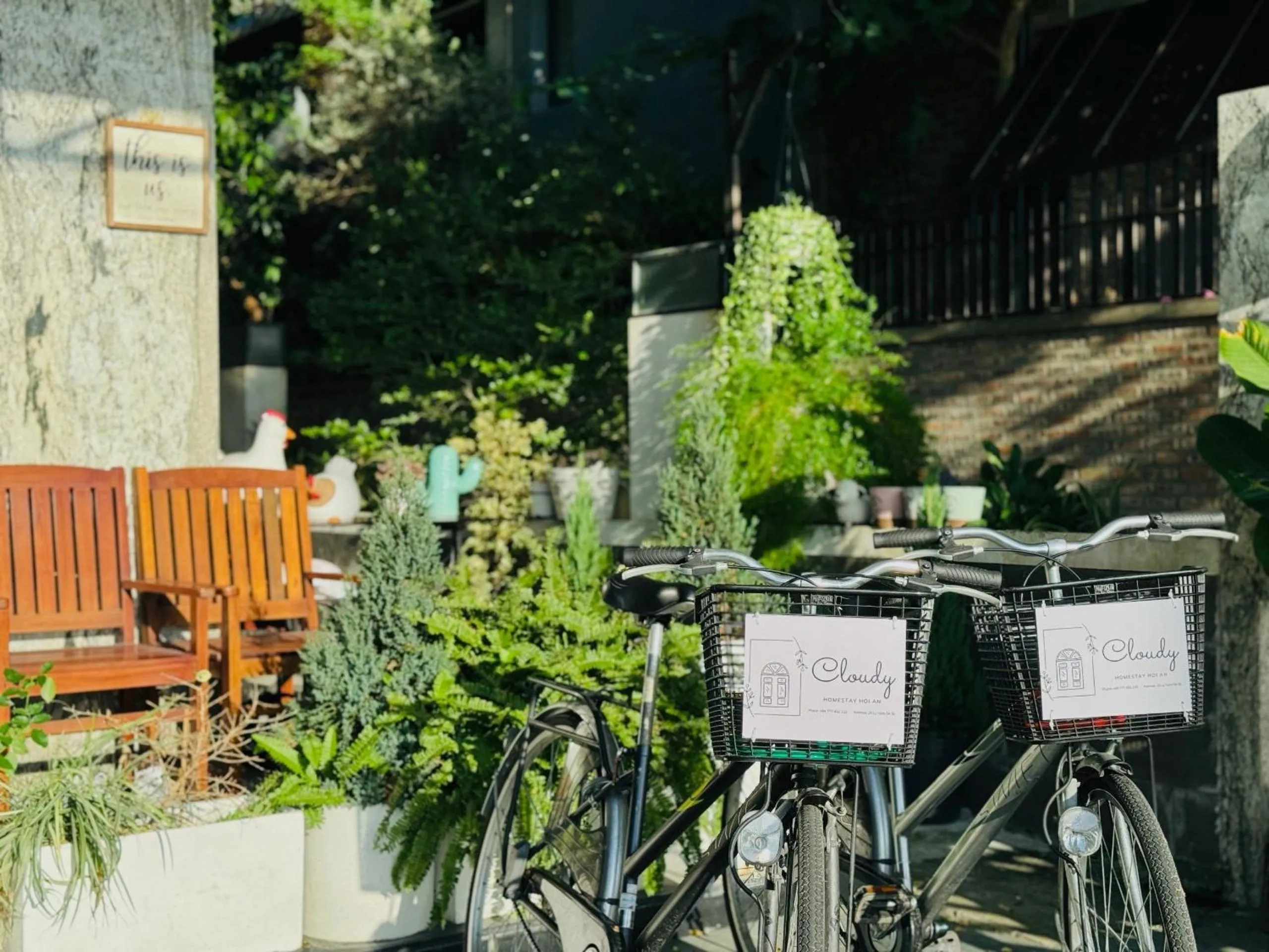 Cycling in Cloudy Homestay Hoi An