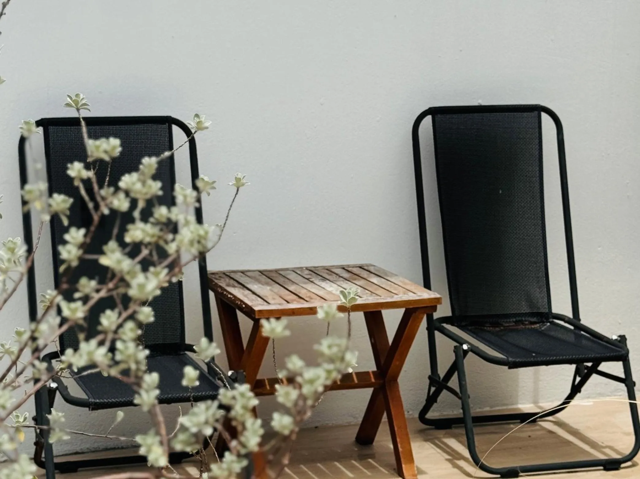 Garden in Cloudy Homestay Hoi An