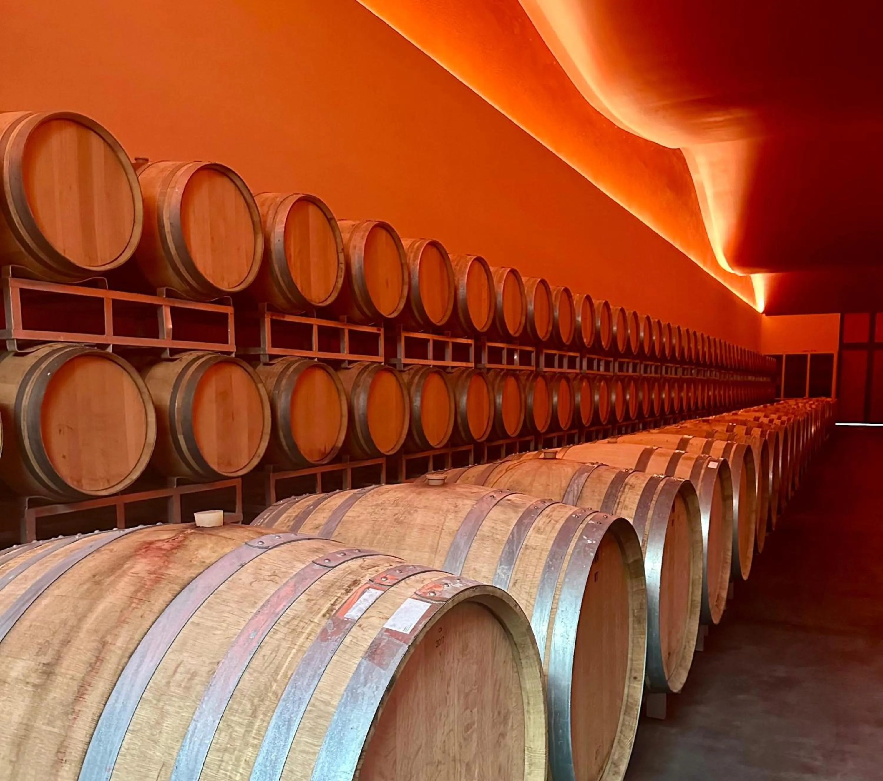 Activities in Cala del Porto Punta Ala - Preferred Hotels