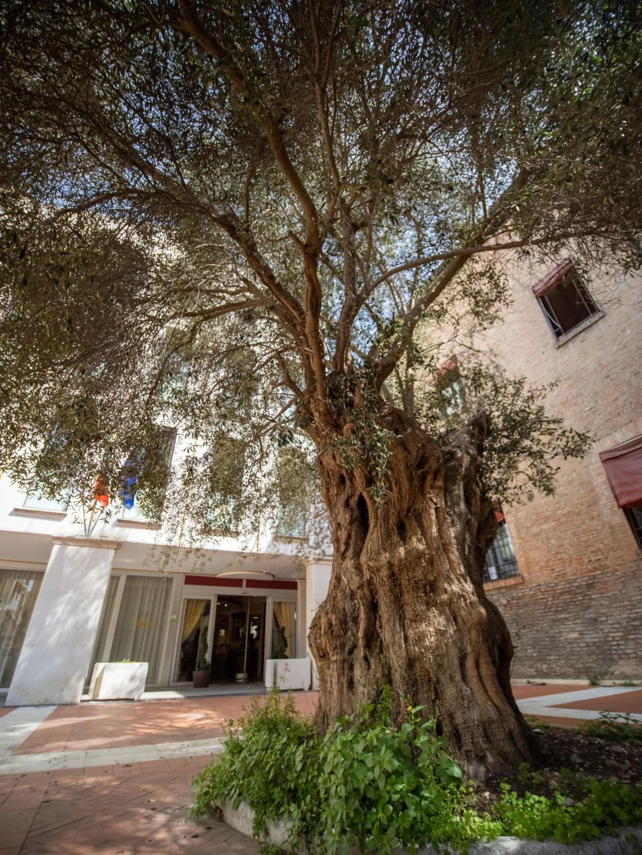 EGO' Residence Ferrara