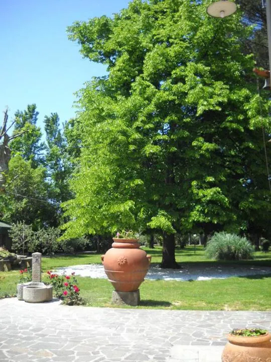 Garden in Hotel Villa Maya
