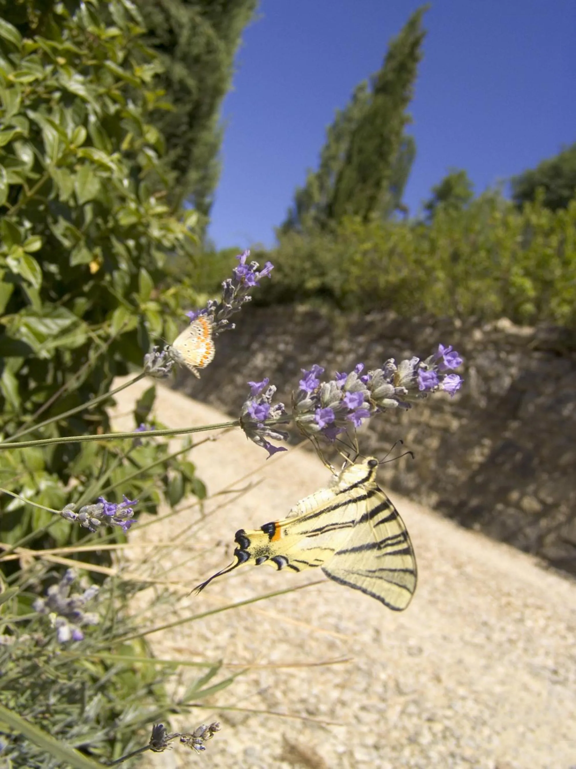 Decorative detail in Marignolle Relais & Charme - Residenza d'Epoca