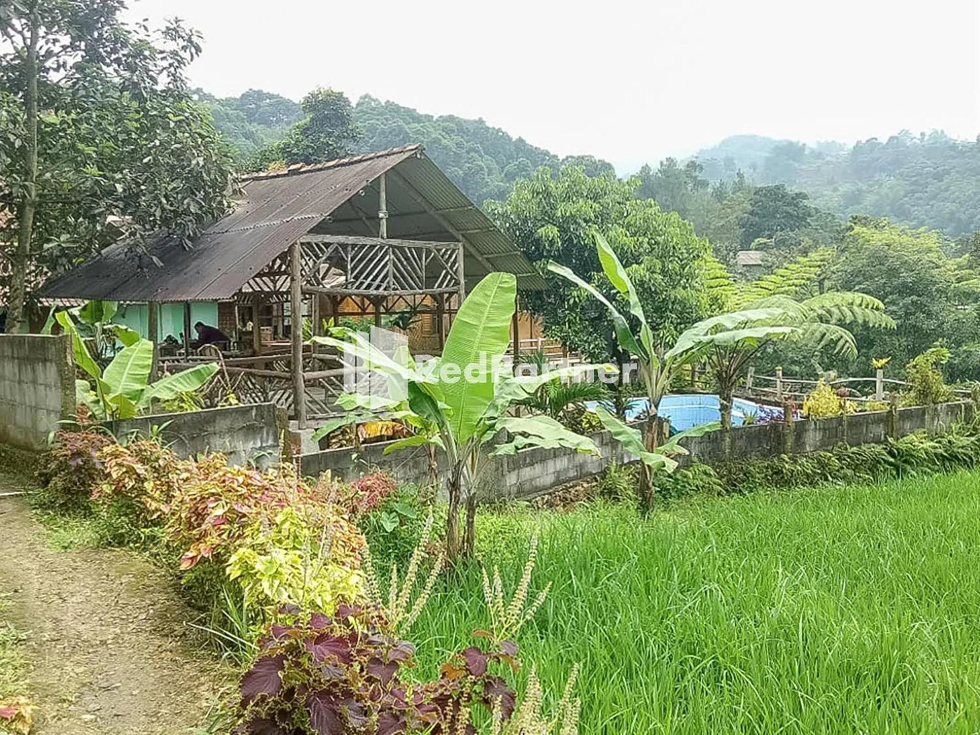 Property building in De Salak Homestay Gunung Salak RedPartner
