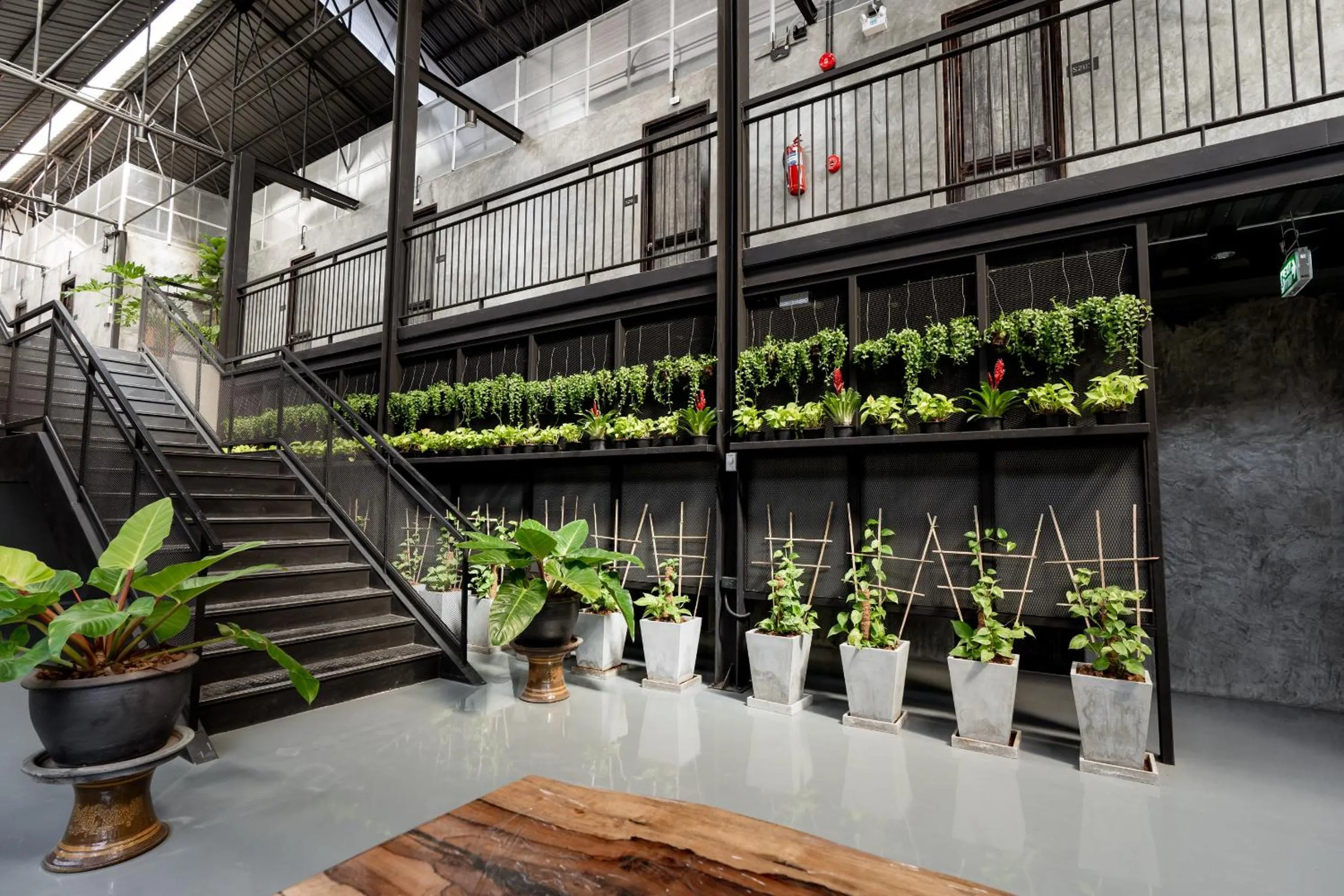 Lobby or reception in Premier Hostel Chiang Mai