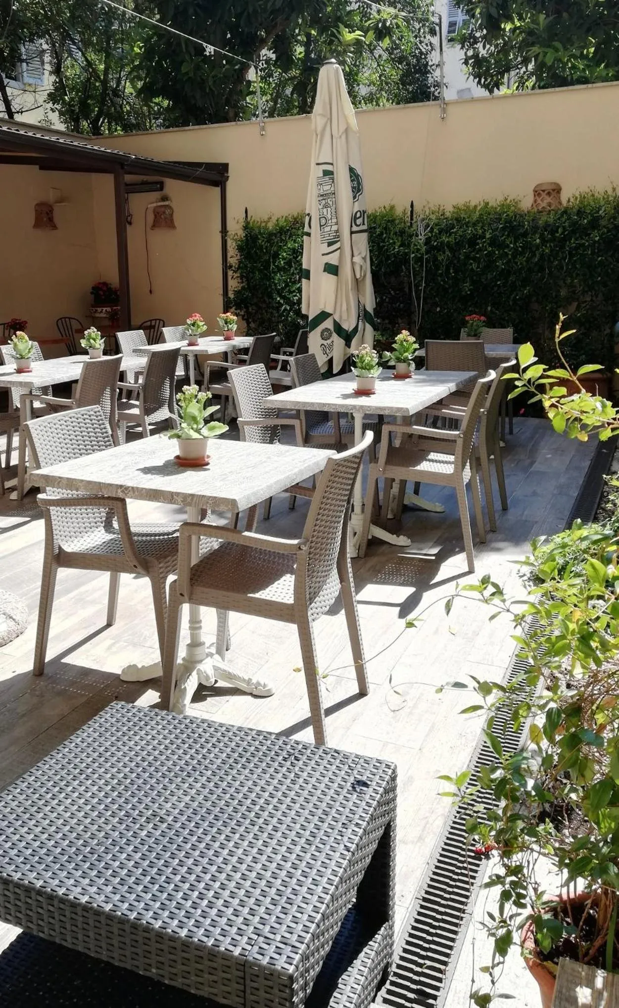 Patio in Hotel Cimabue