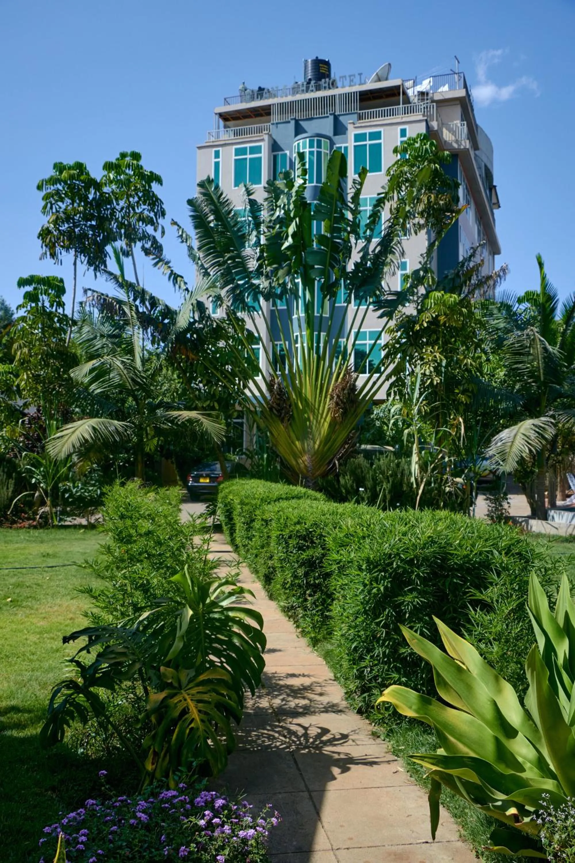 Garden in Elanacha Hotel