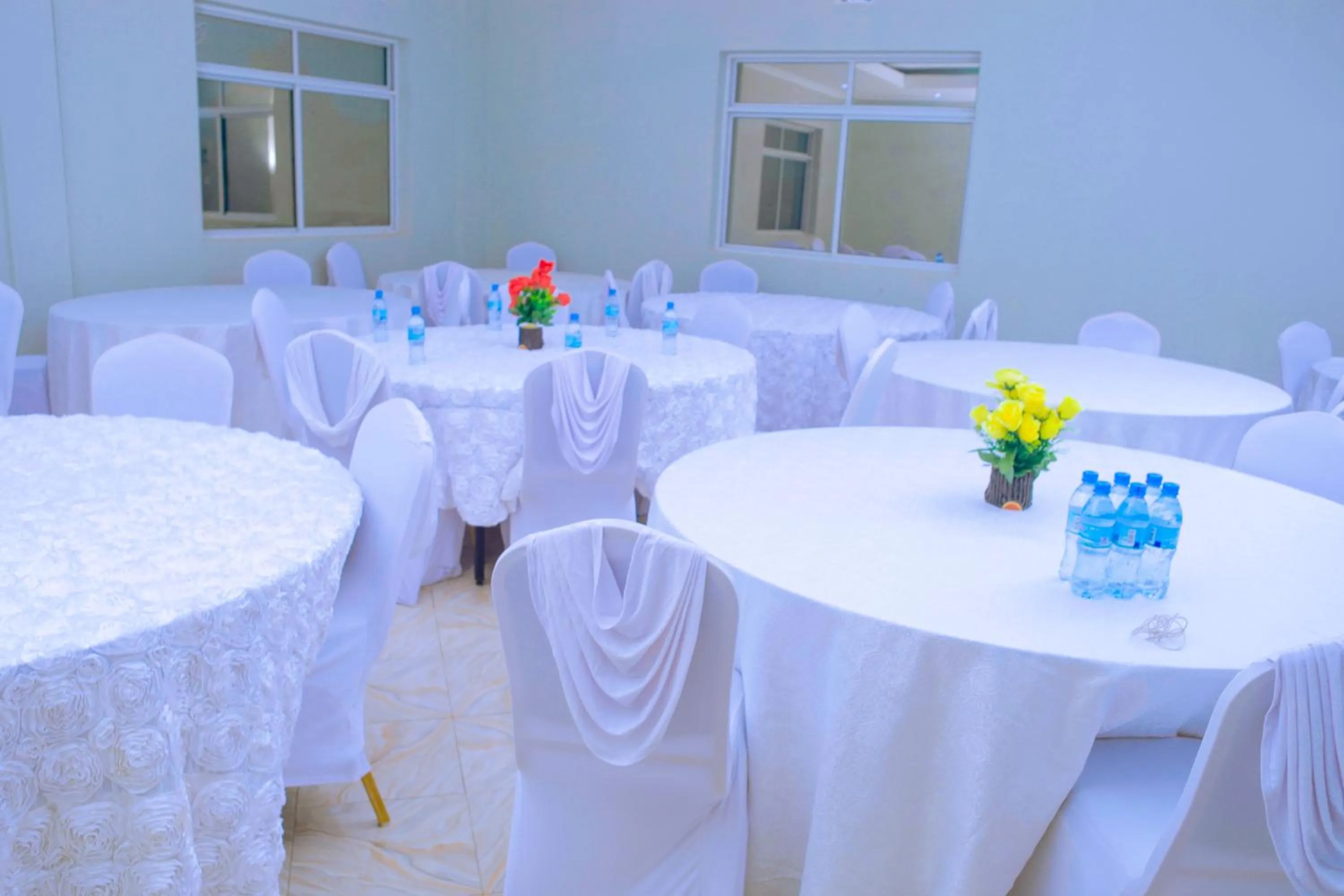 Banquet/Function facilities in Elanacha Hotel