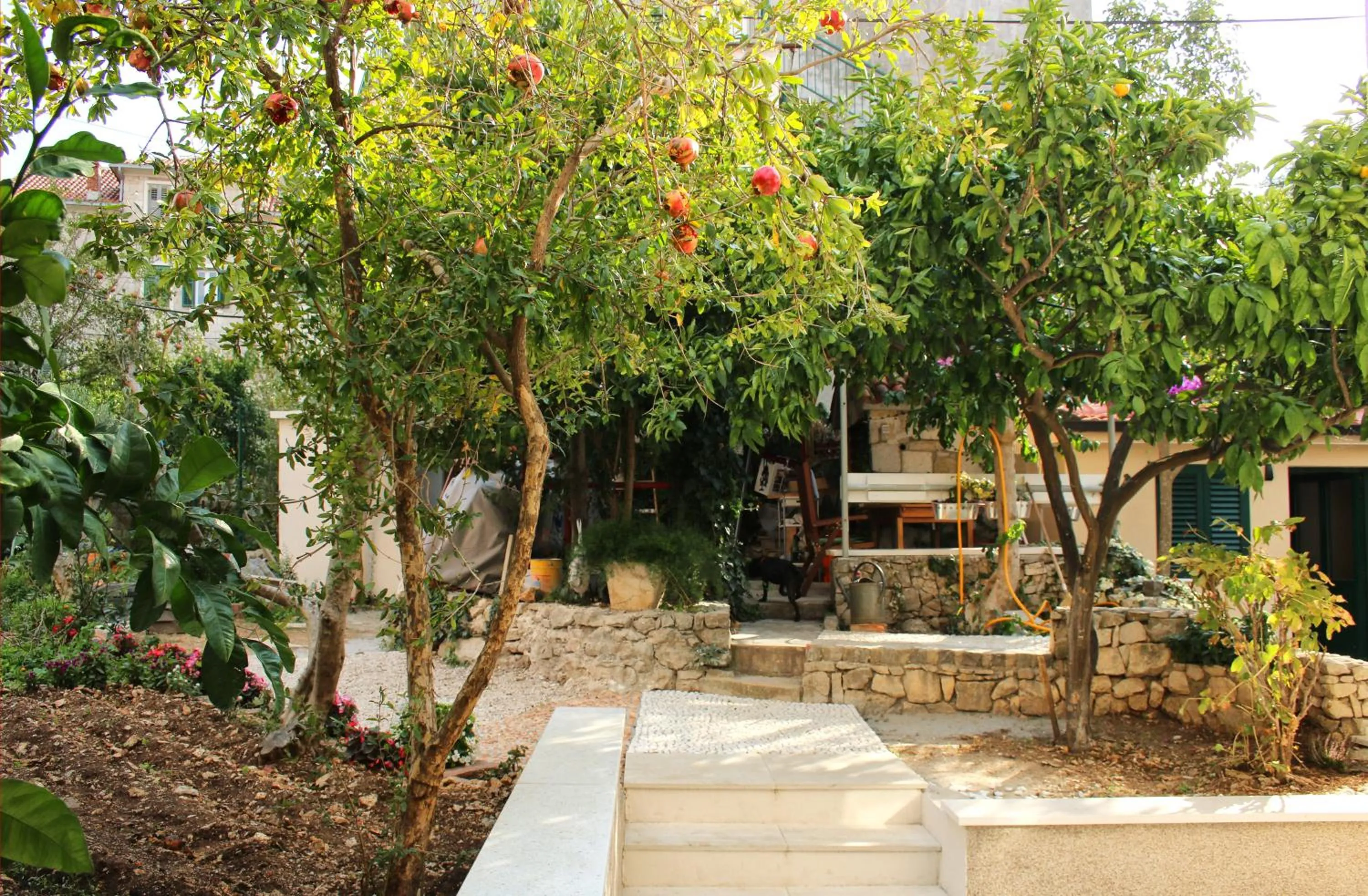 Garden in Luxury Villa Roza