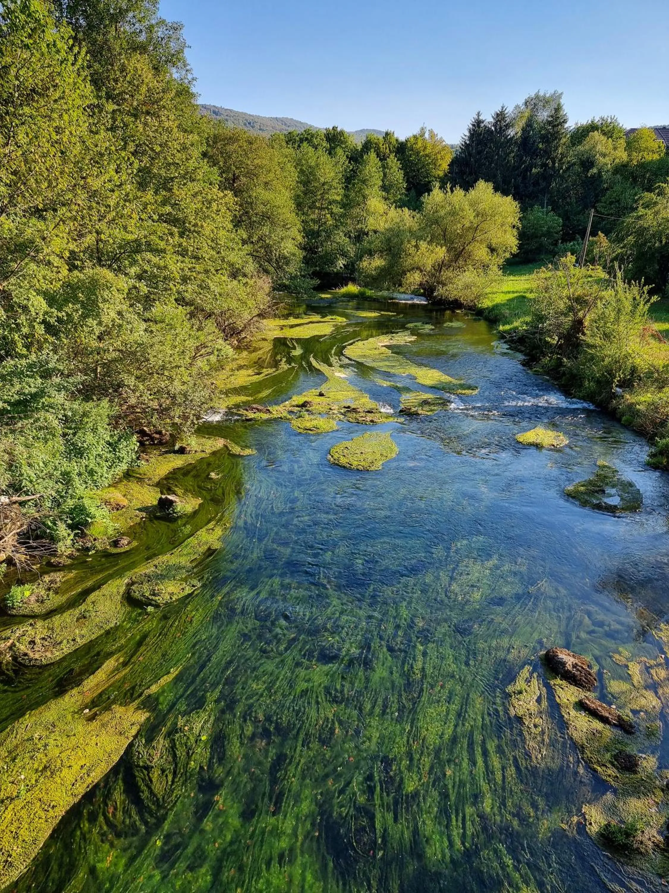 Fishing in Krka River Lodge
