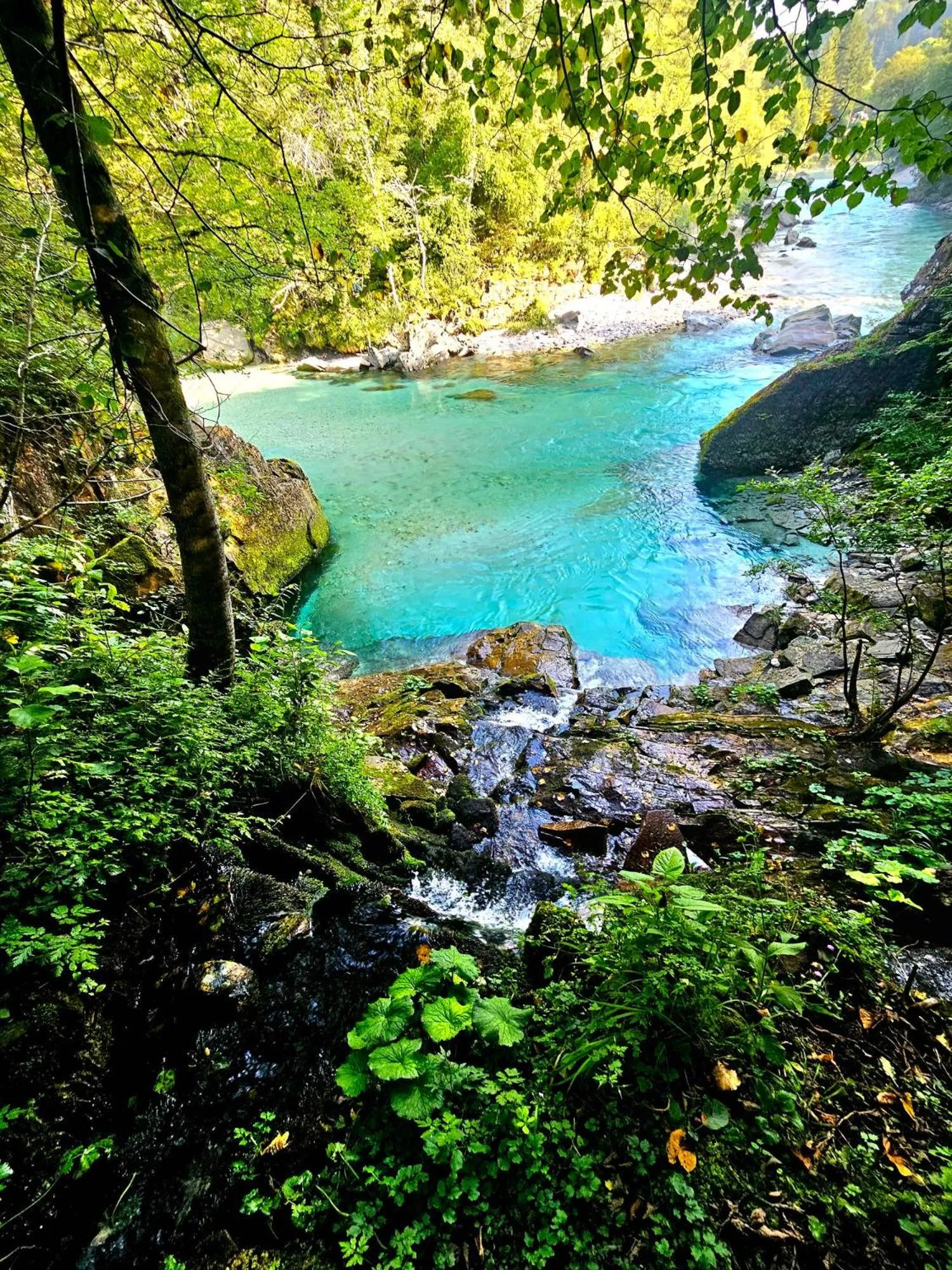 River view in Krka River Lodge