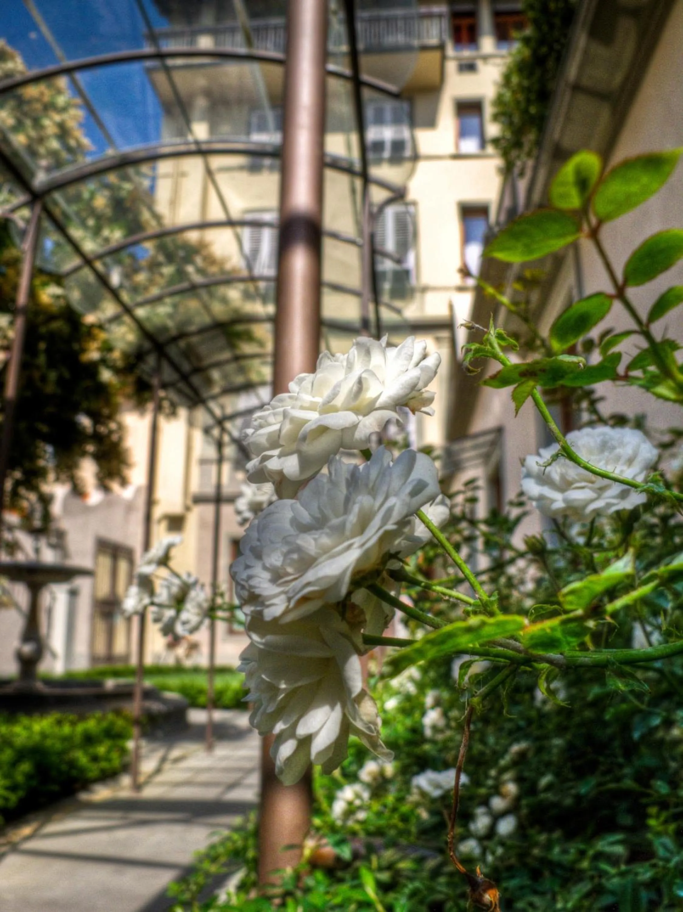 Day in Hotel Orto de' Medici