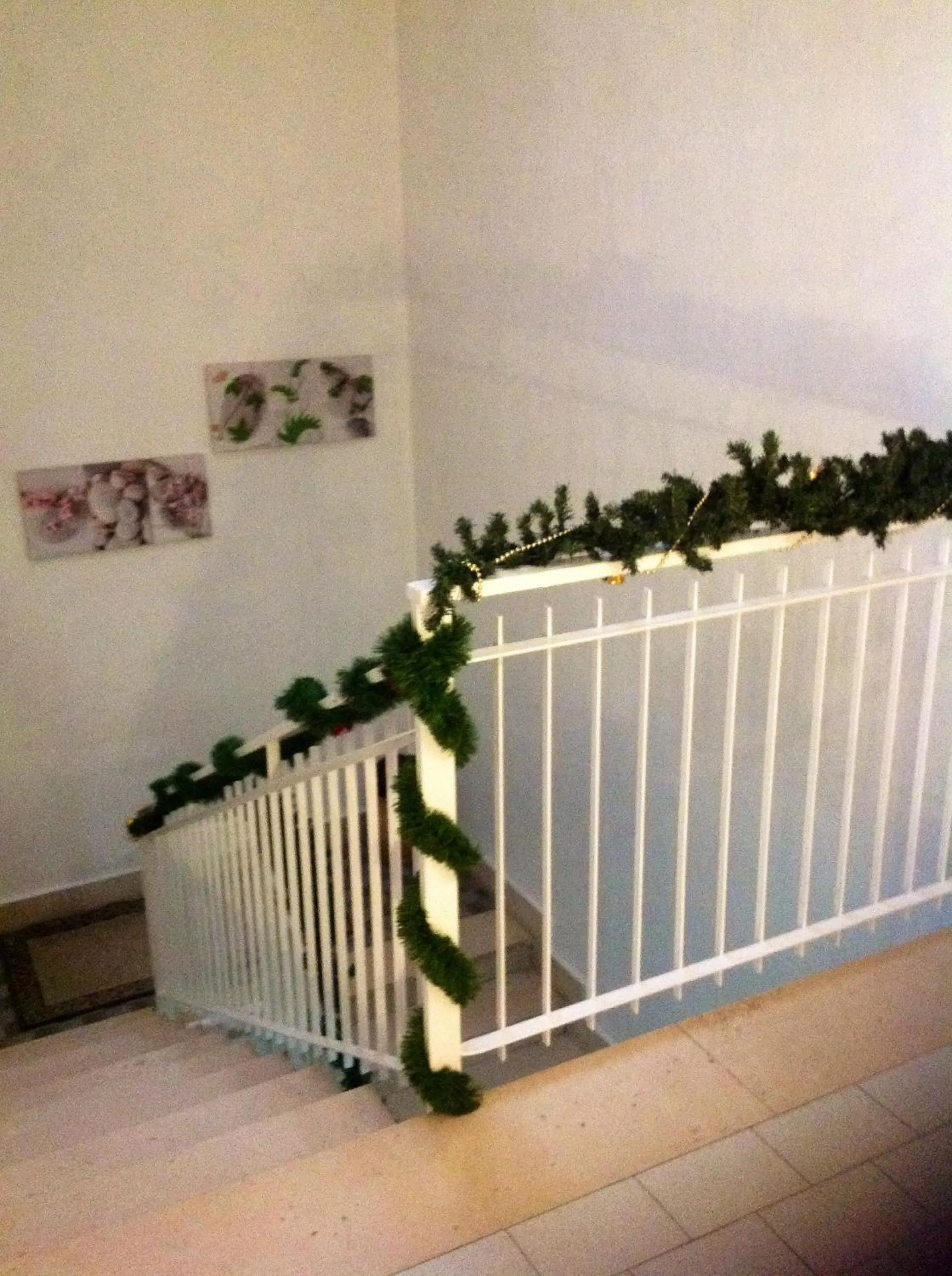 Area and facilities in Palazzo Lamanna