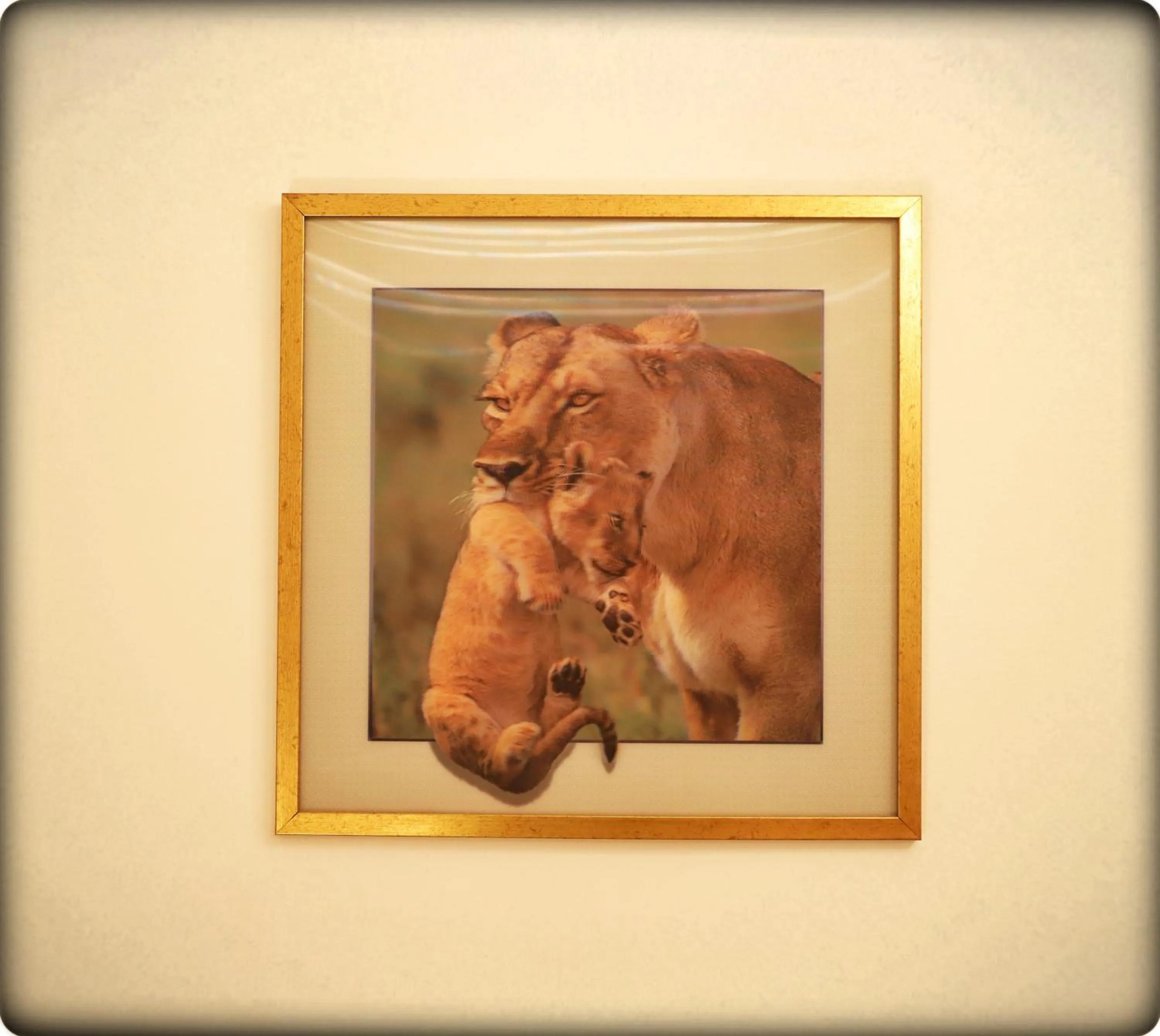 The Royal Hermitage - Best Luxury Boutique Hotel Jaipur