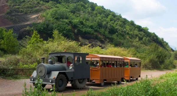 Activities in La Casa dels Poetes