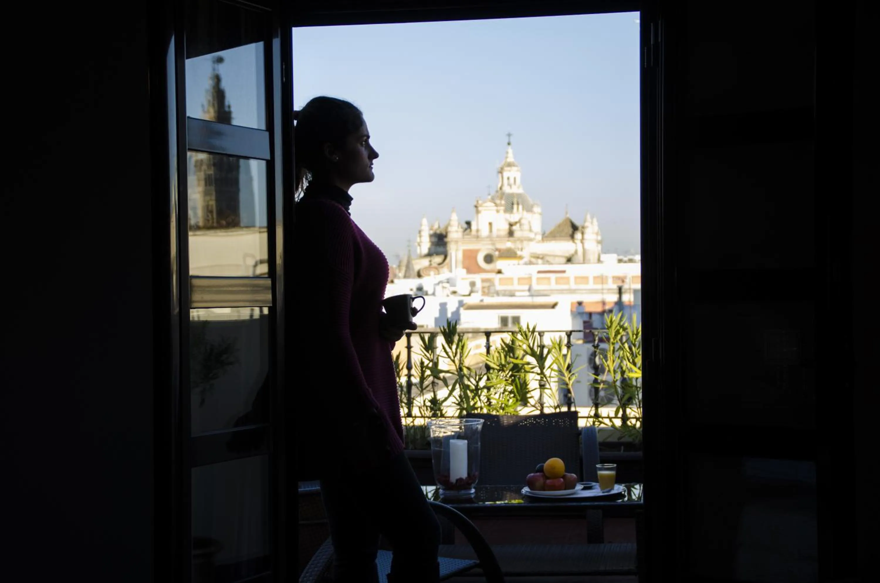 View (from property/room) in Hotel Plaza