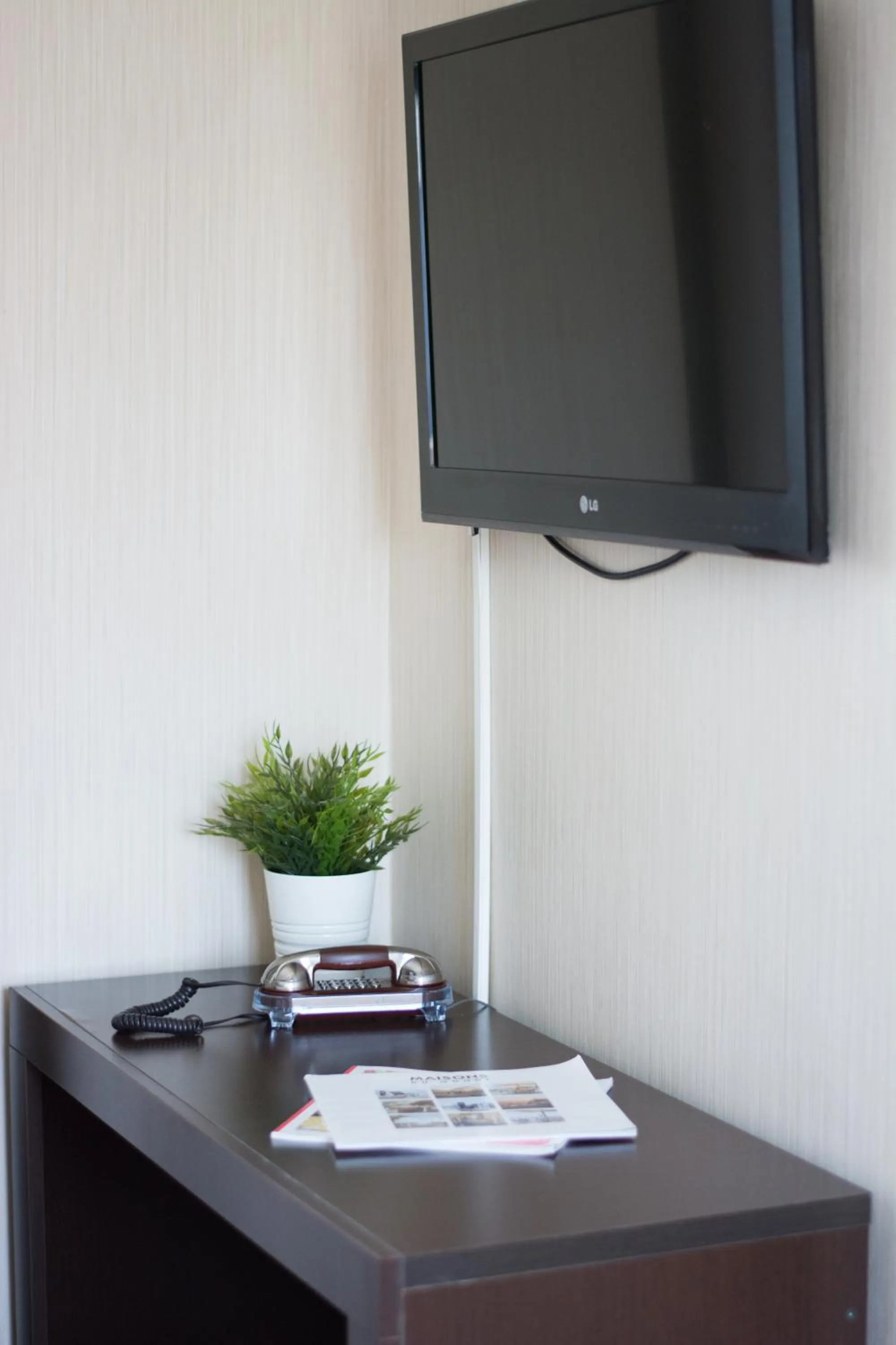 TV and multimedia in Hotel Plaza