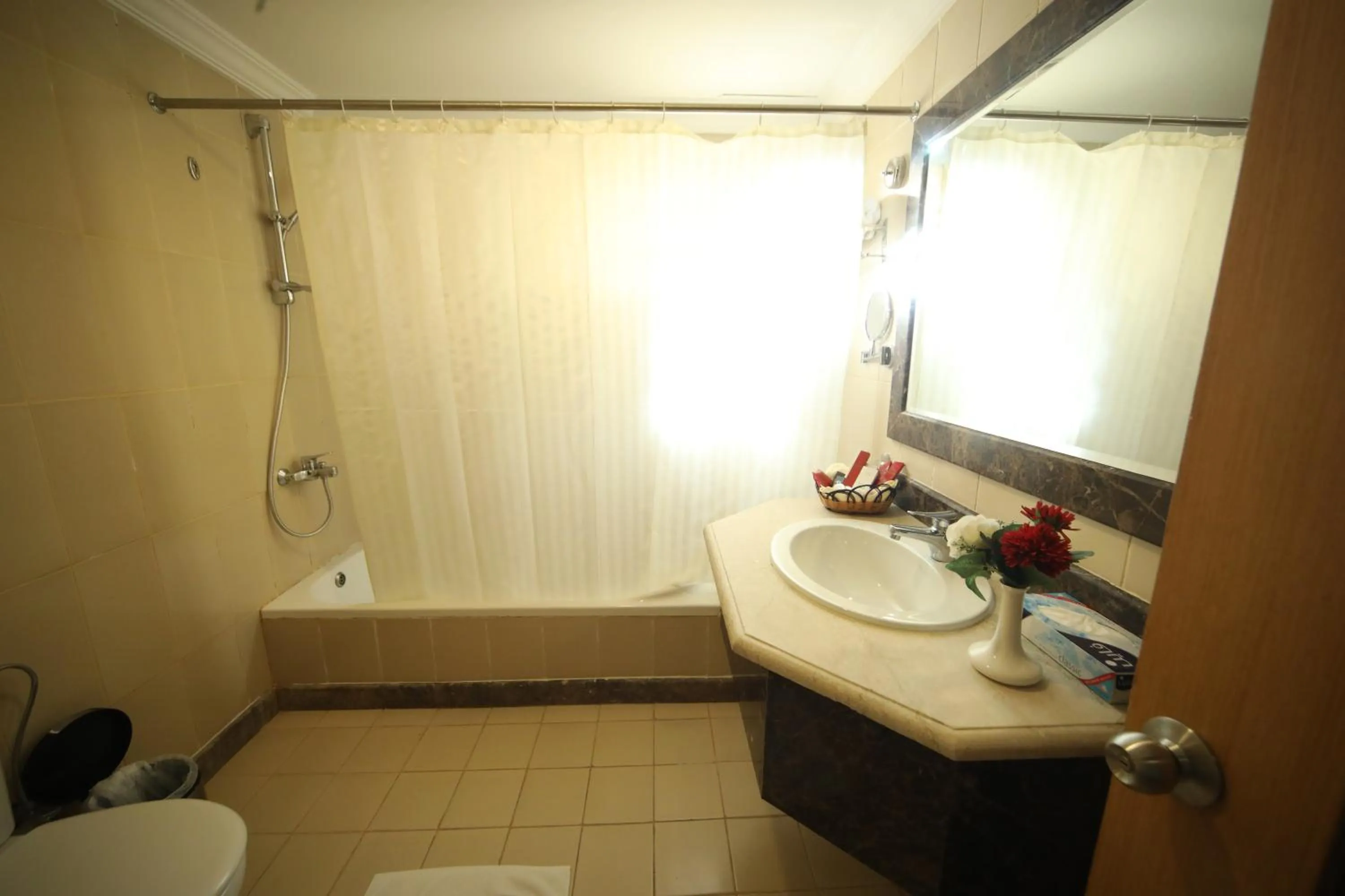 Shower in Roshan Al Azhar Hotel