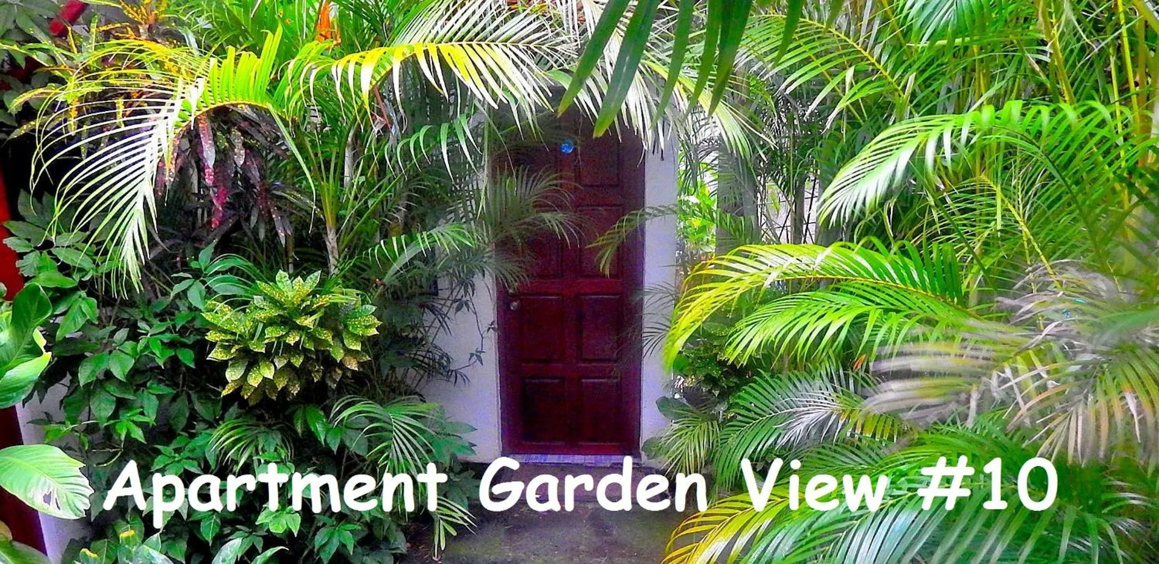 Apartment with Garden View in Rositas Hotel