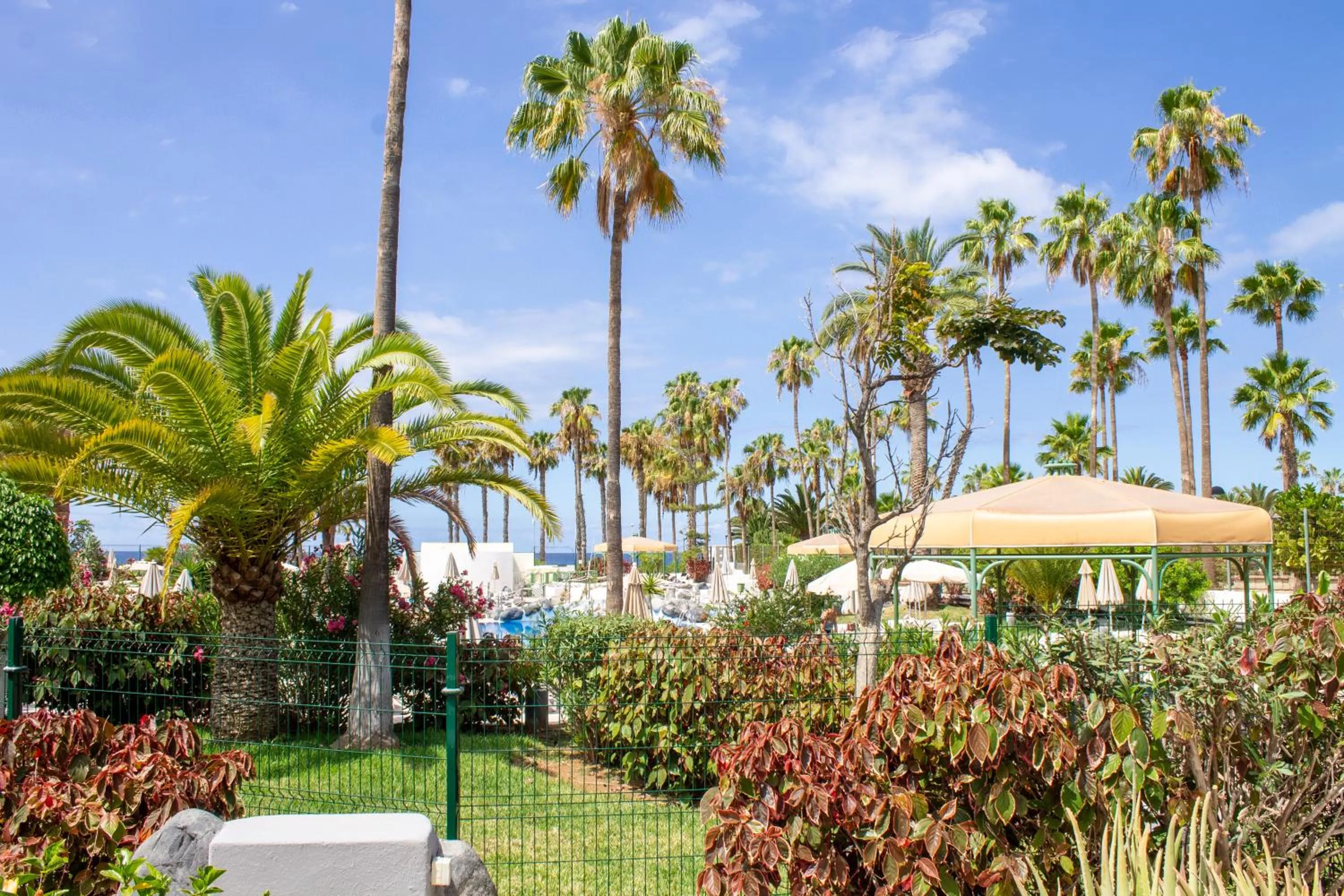 Garden view in Apartamentos El Beril Costa Adeje