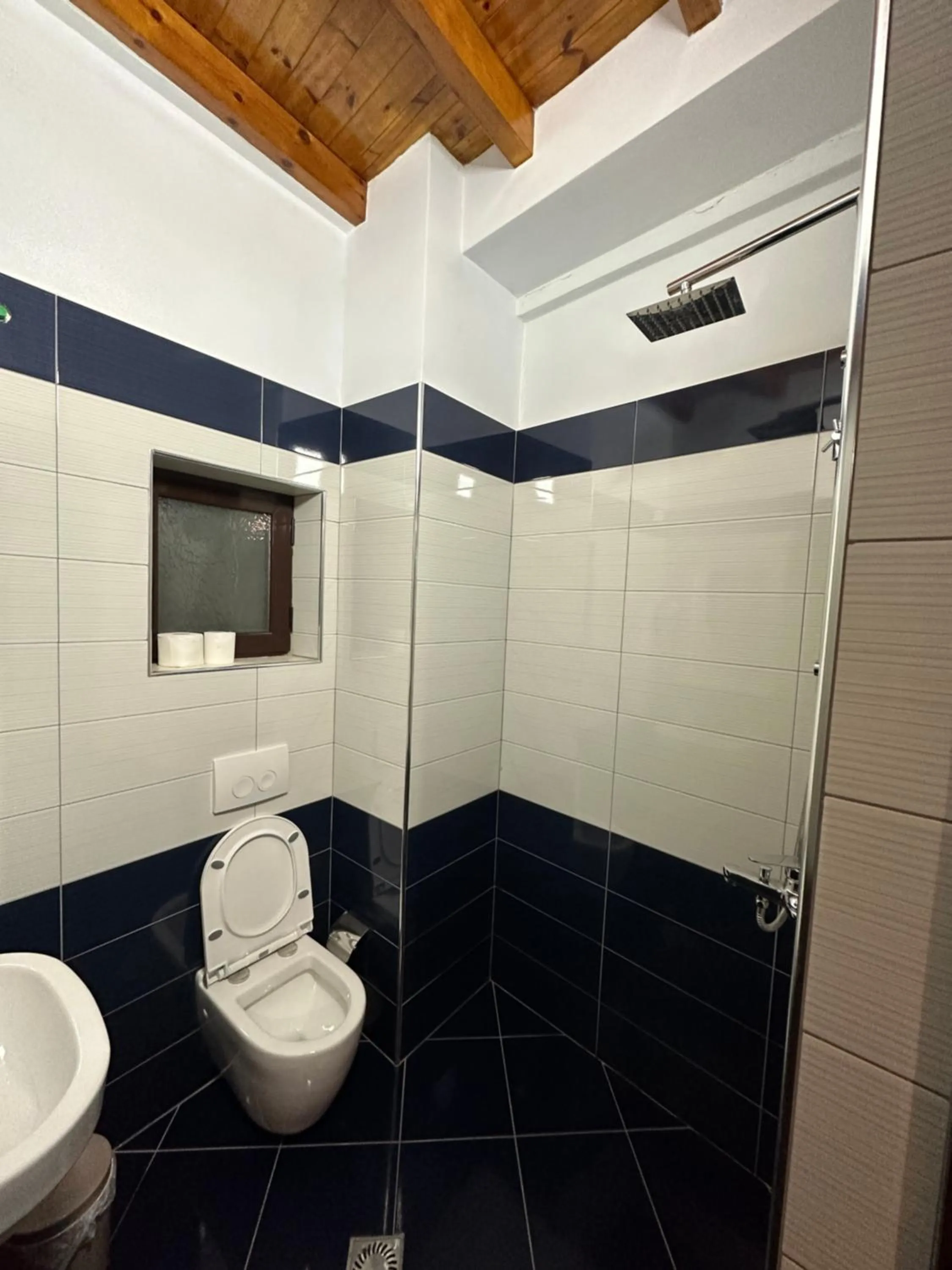 Toilet in Arial Penthouse Suites