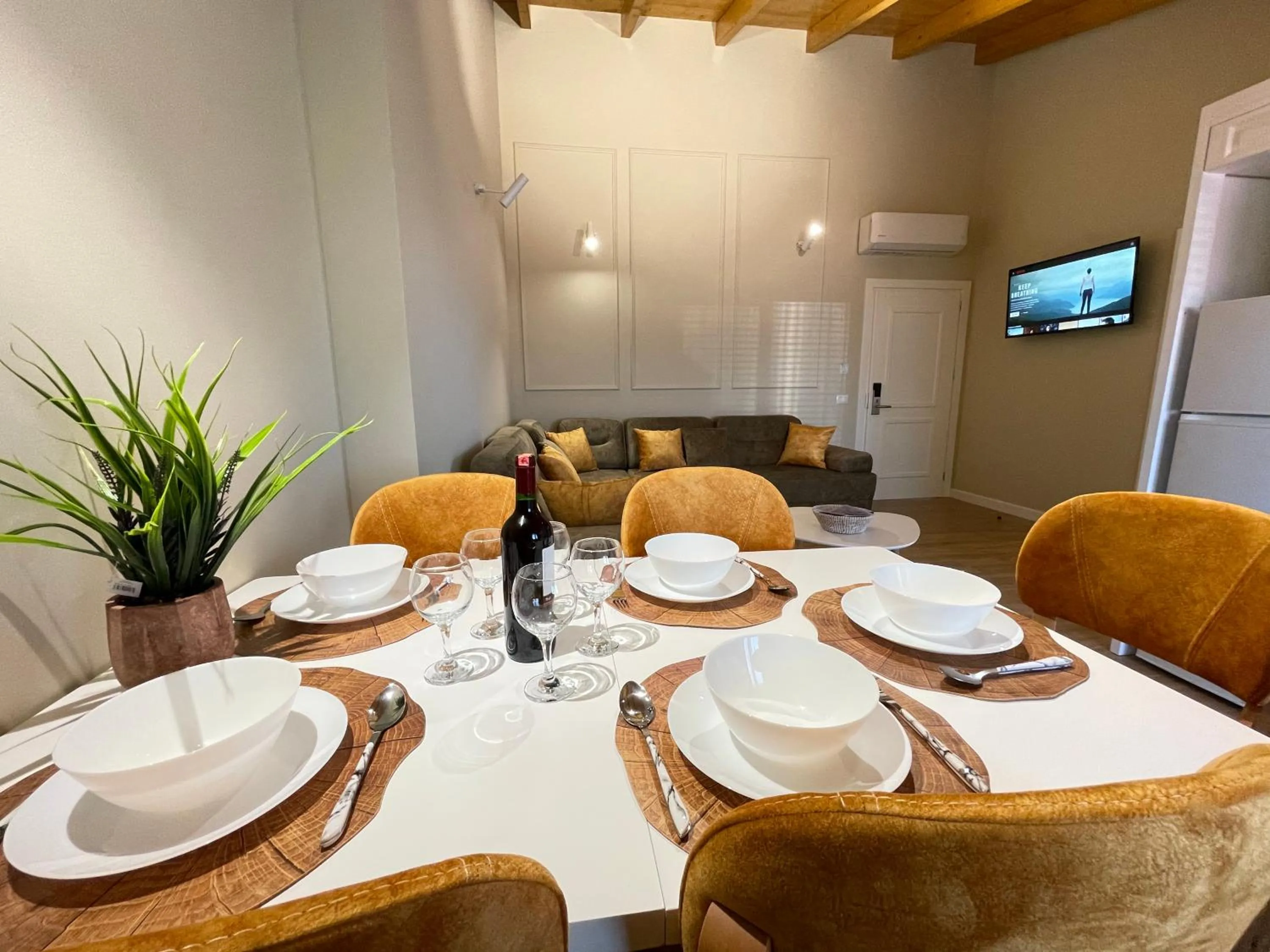 TV and multimedia in Arial Penthouse Suites