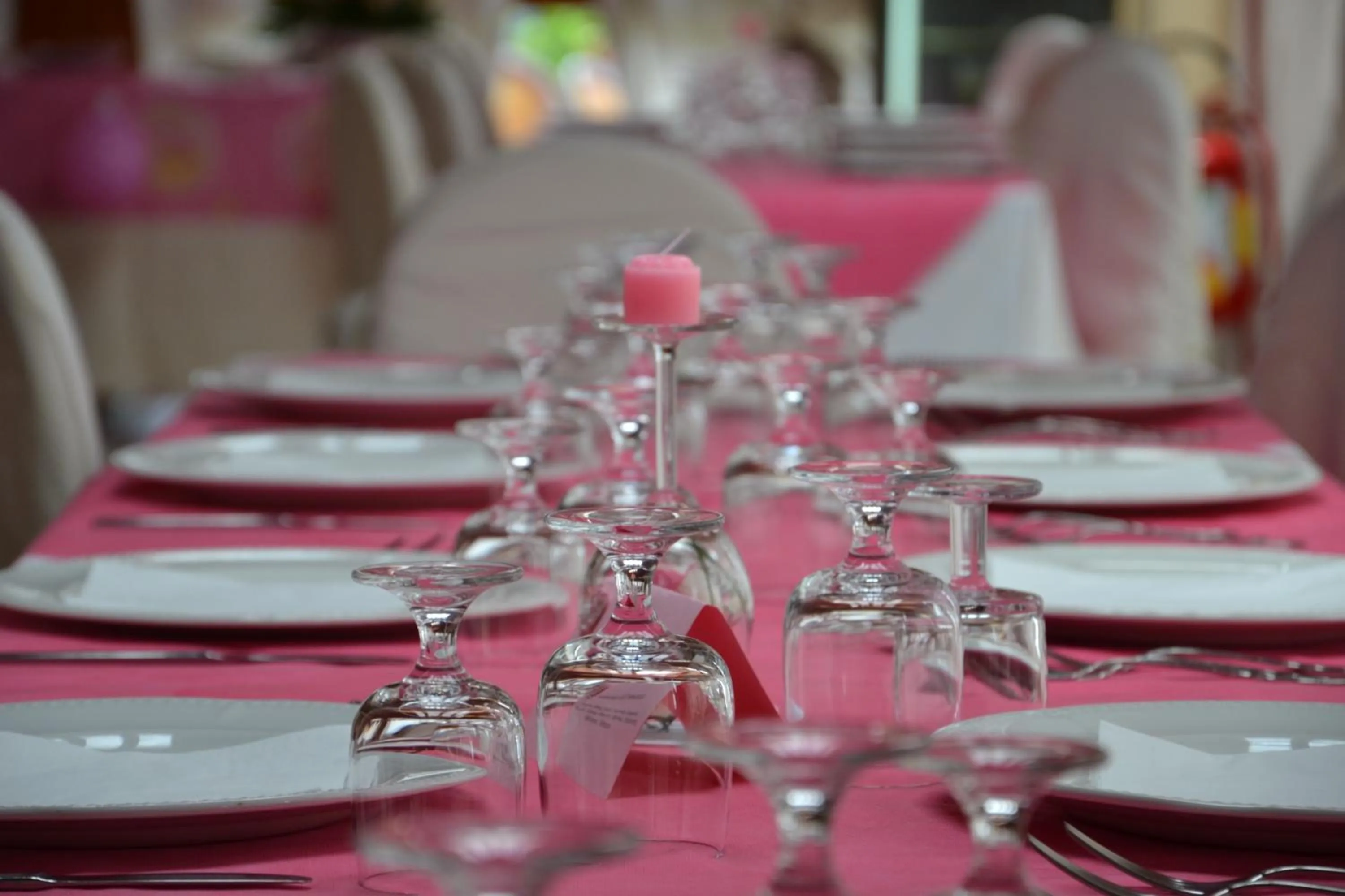 Restaurant/places to eat in Hotel Santa Marta