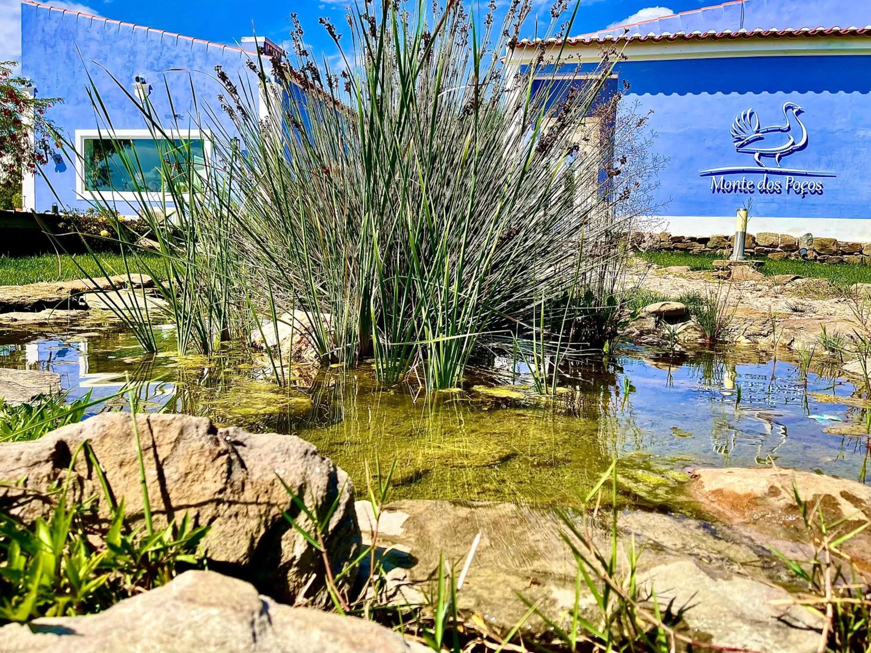 Property building in Monte dos Poços