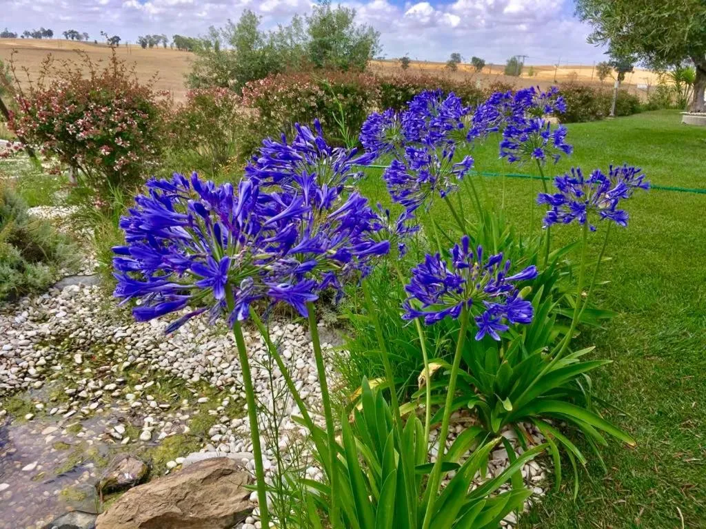 Natural landscape in Monte dos Poços