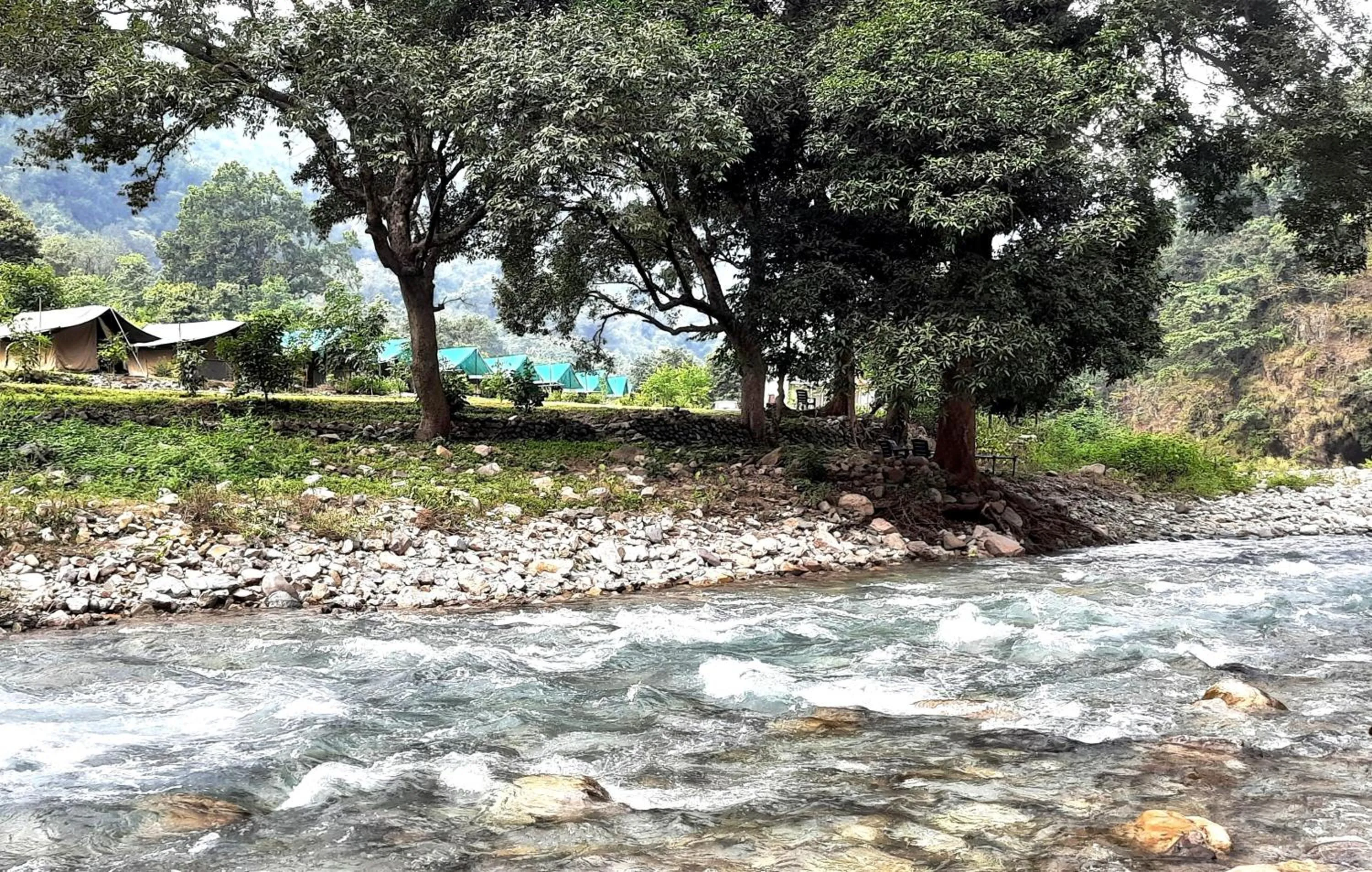 Natural landscape in The Raajas - Camp & Resorts