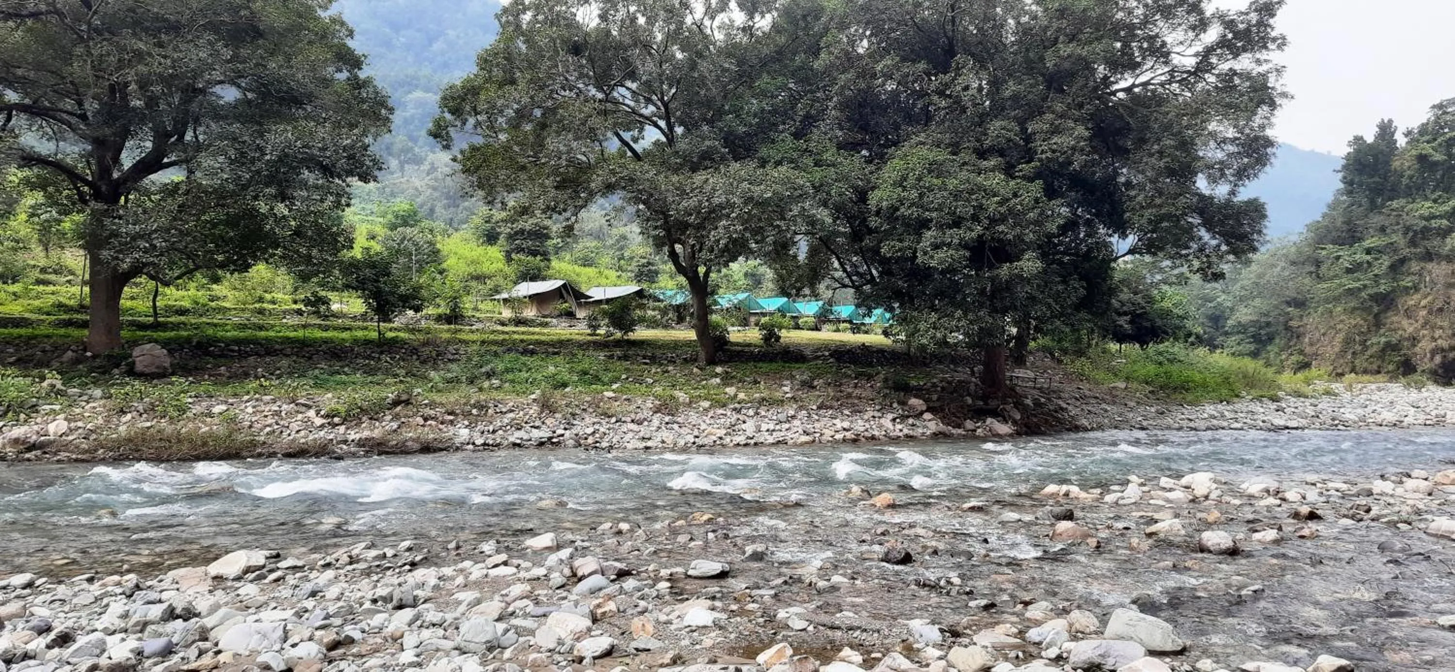 Natural landscape in The Raajas - Camp & Resorts